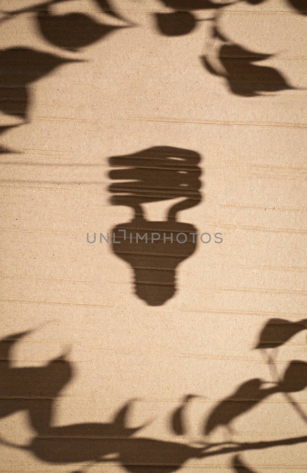 shadow of fluorescent light bulb and tree leaves against cardboard background