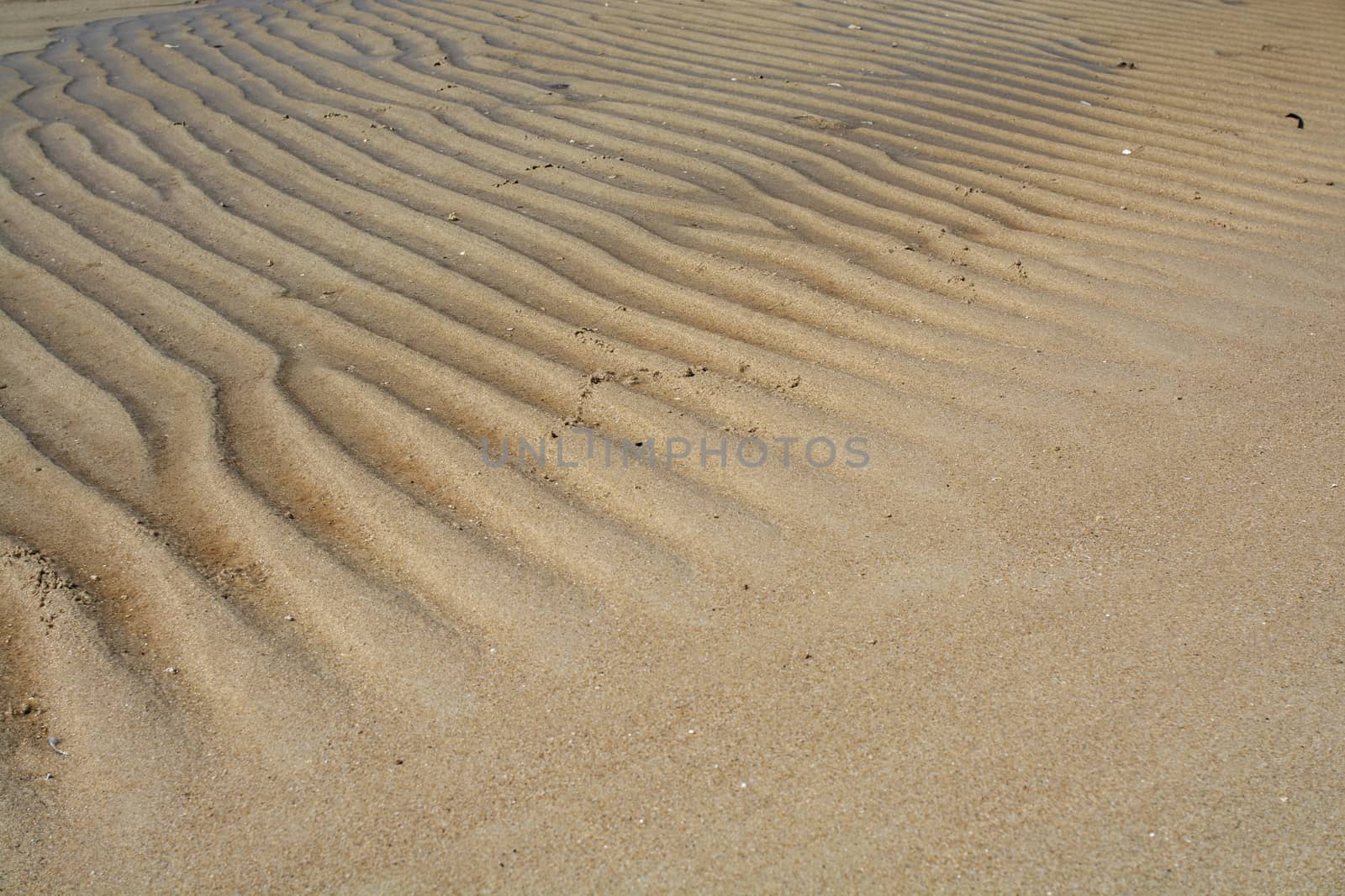 Sand beach texture for background