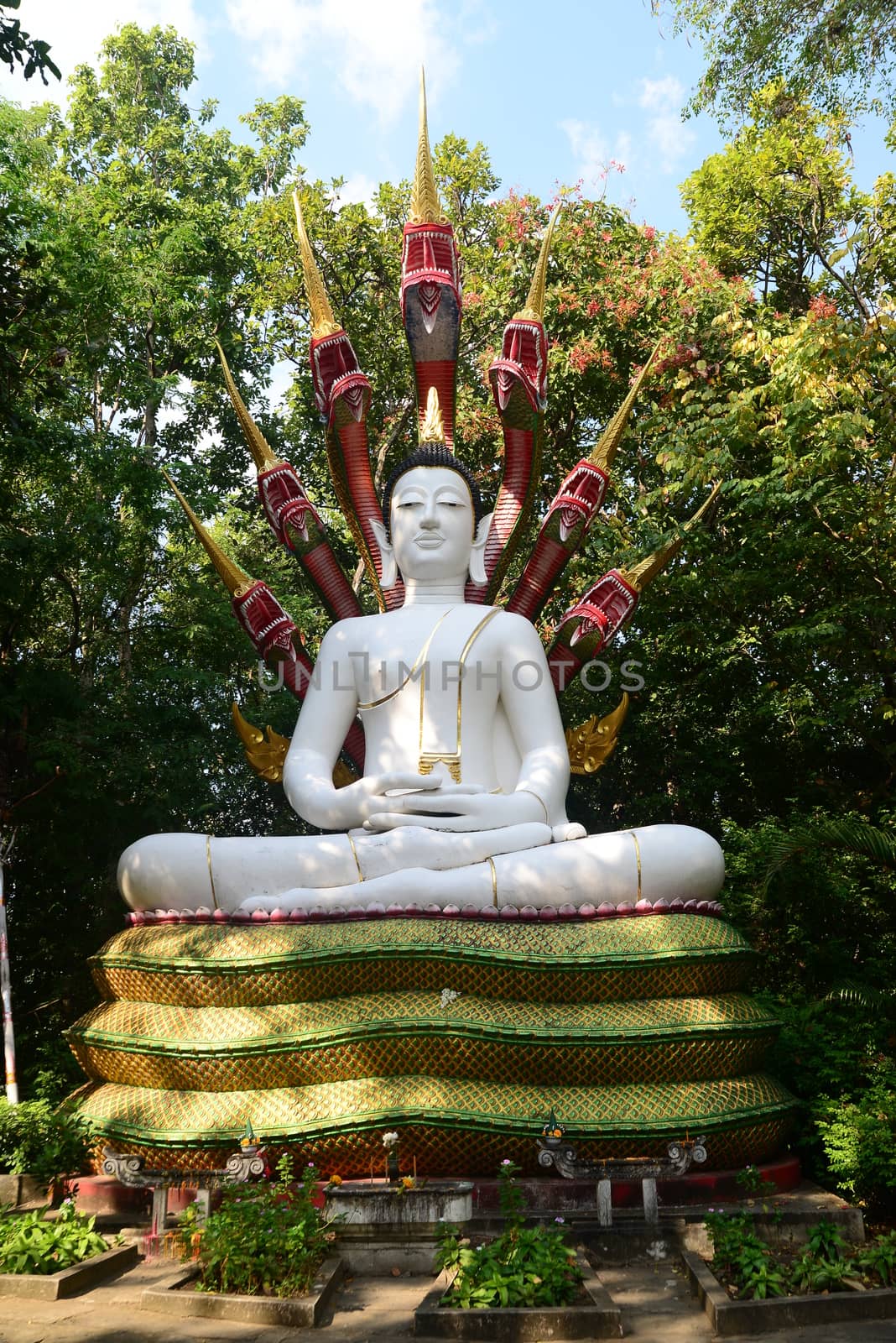 Phayao, Thailand – 21 December, 2019 : Buddha in Meditation under a Seven-Headed Naga at Wat Analyo Thipayaram, Phayao province, Thailand