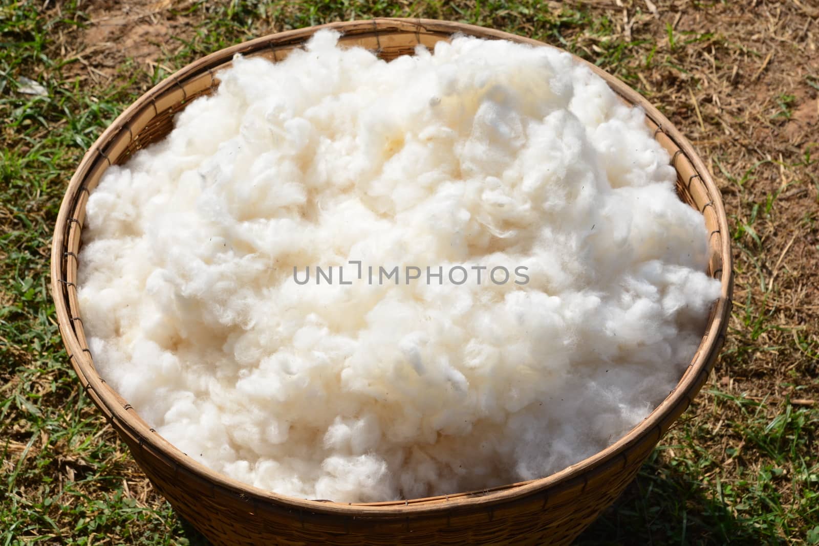 Cotton fiber texture in bamboo basket on the lawn, note  select focus with shallow depth of field	