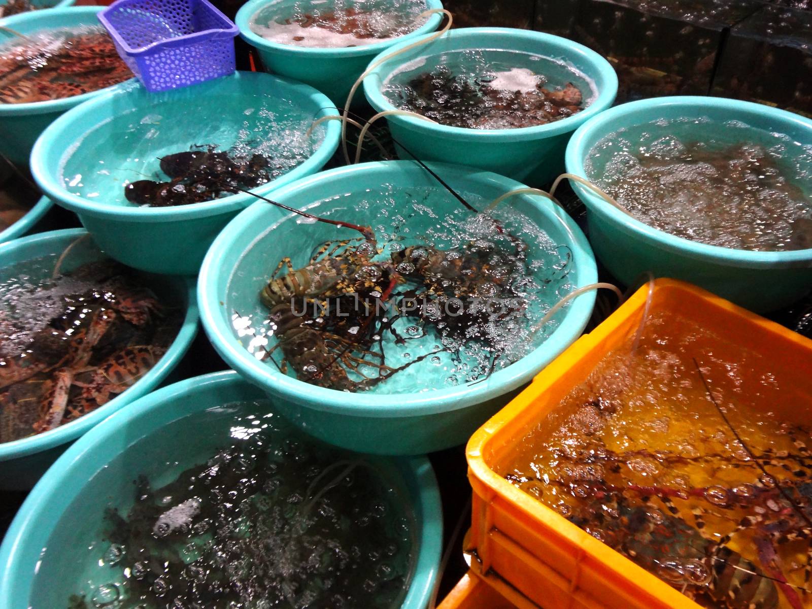 Lobster Sell in fresh seafood market, note  select focus with shallow depth of field