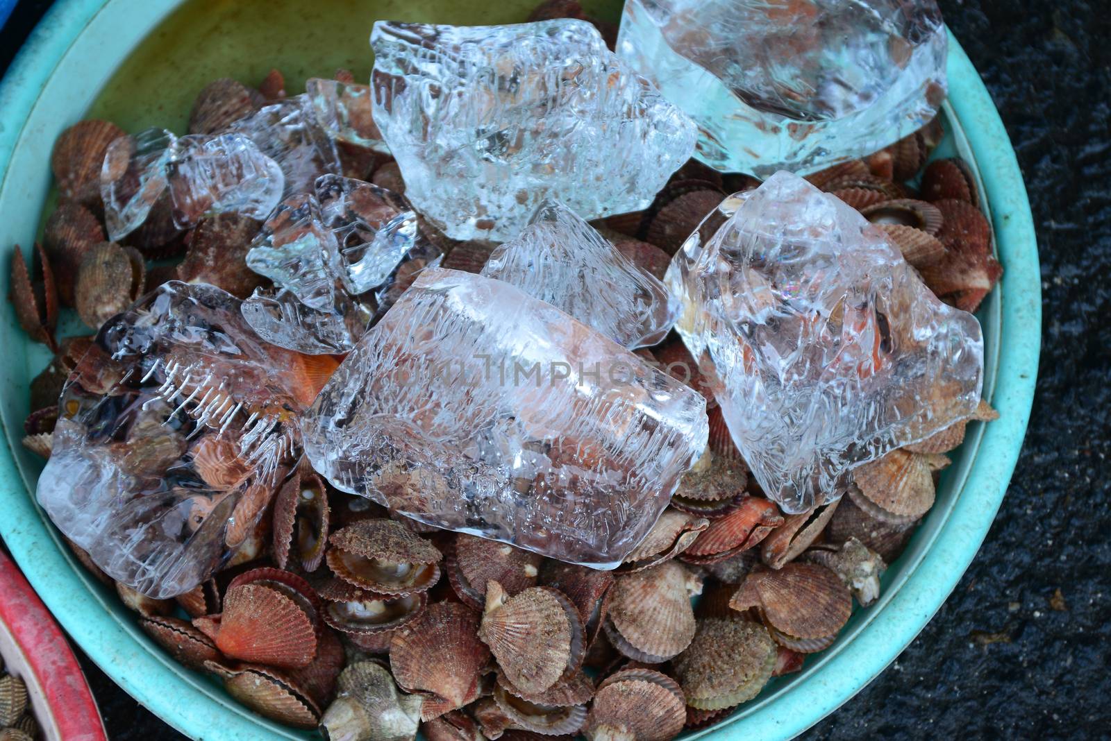 scallop Sell in fresh seafood market, note  select focus with shallow depth of field