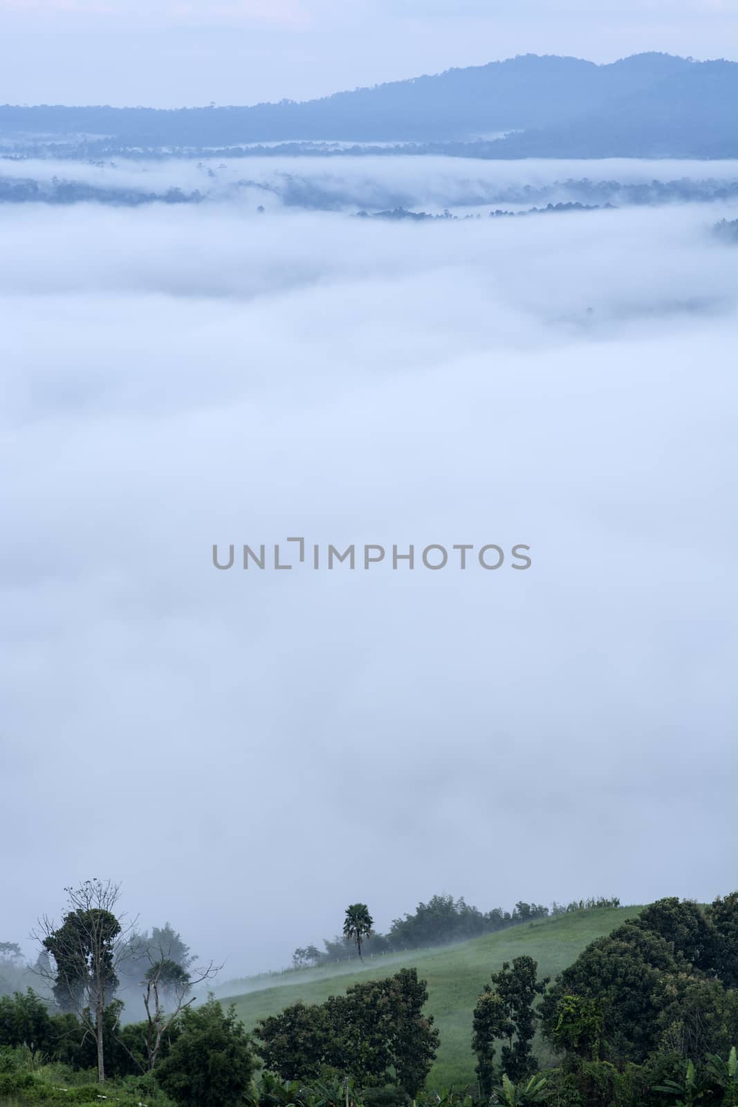 Green hill with fog background, Phetchabun Province, Thailand