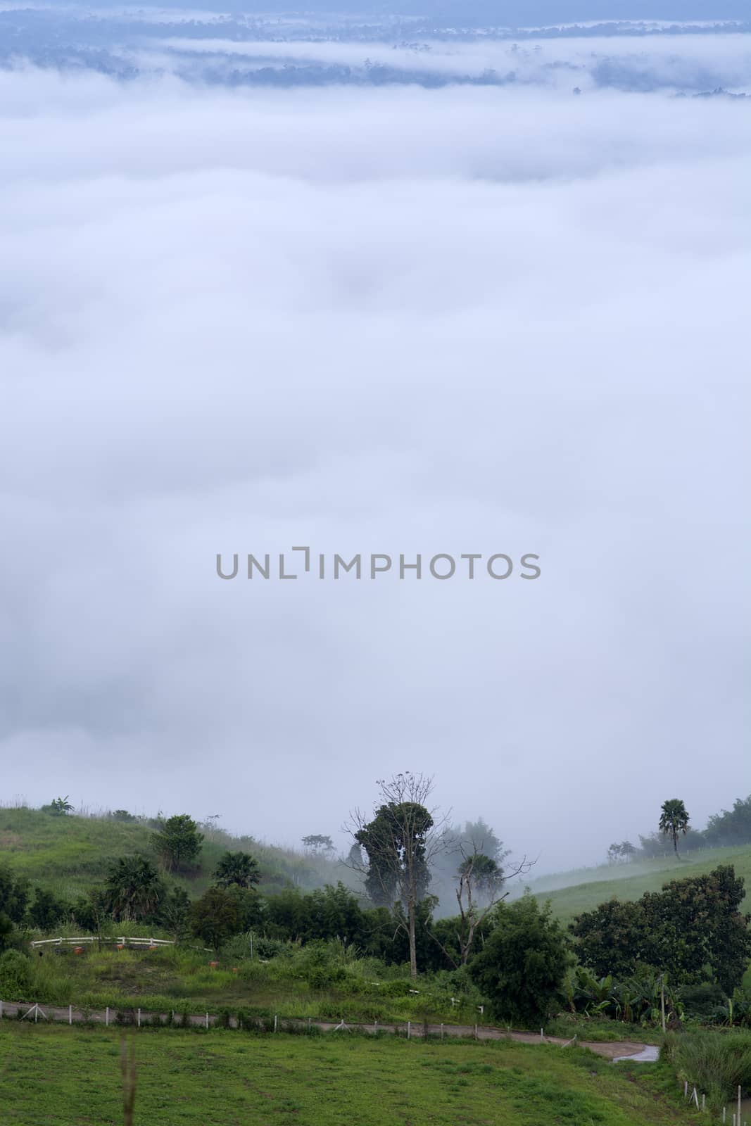 Green hill with fog background, Phetchabun Province, Thailand