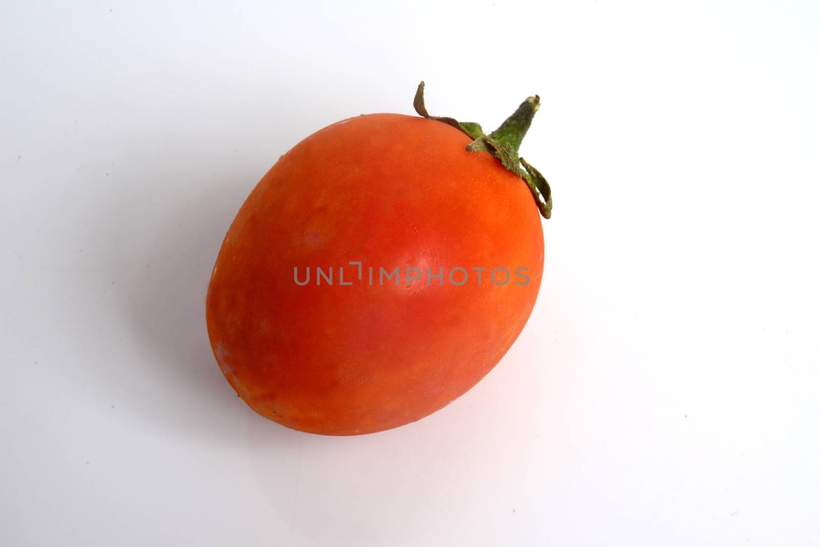 Tomato, (Solanum lycopersicum), flowering plant of the nightshade family (Solanaceae), cultivated extensively for its edible fruits.  by ideation90