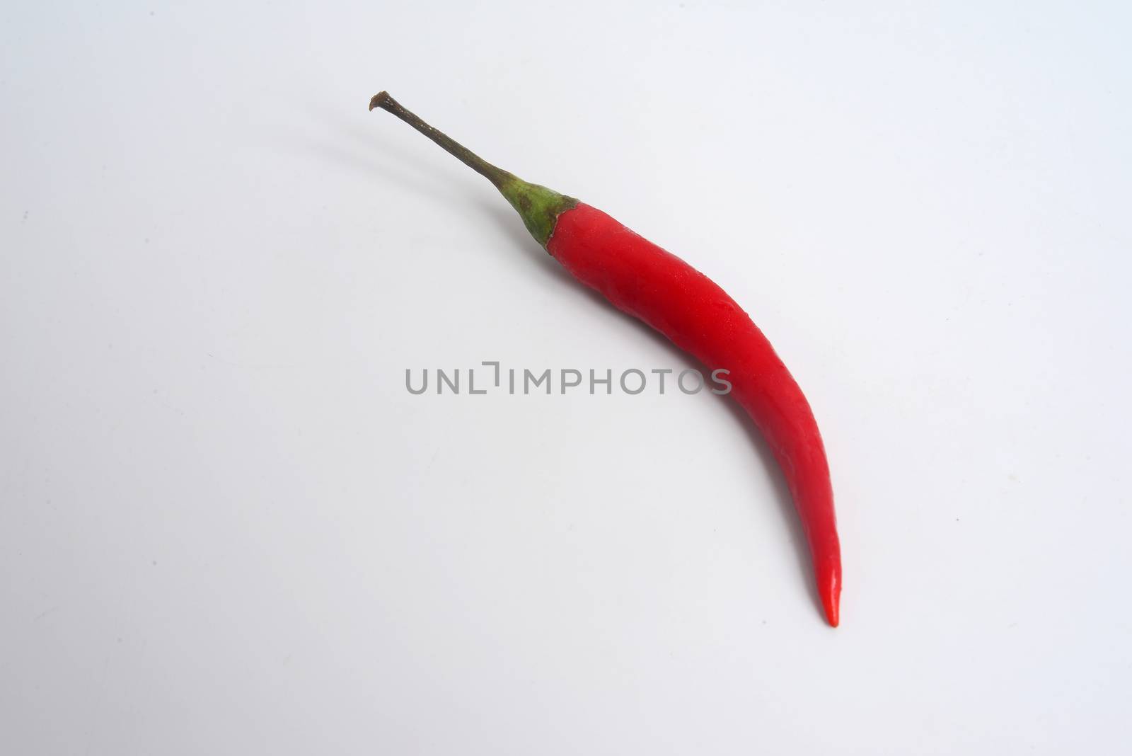 Red chili on white background with copy space for text

