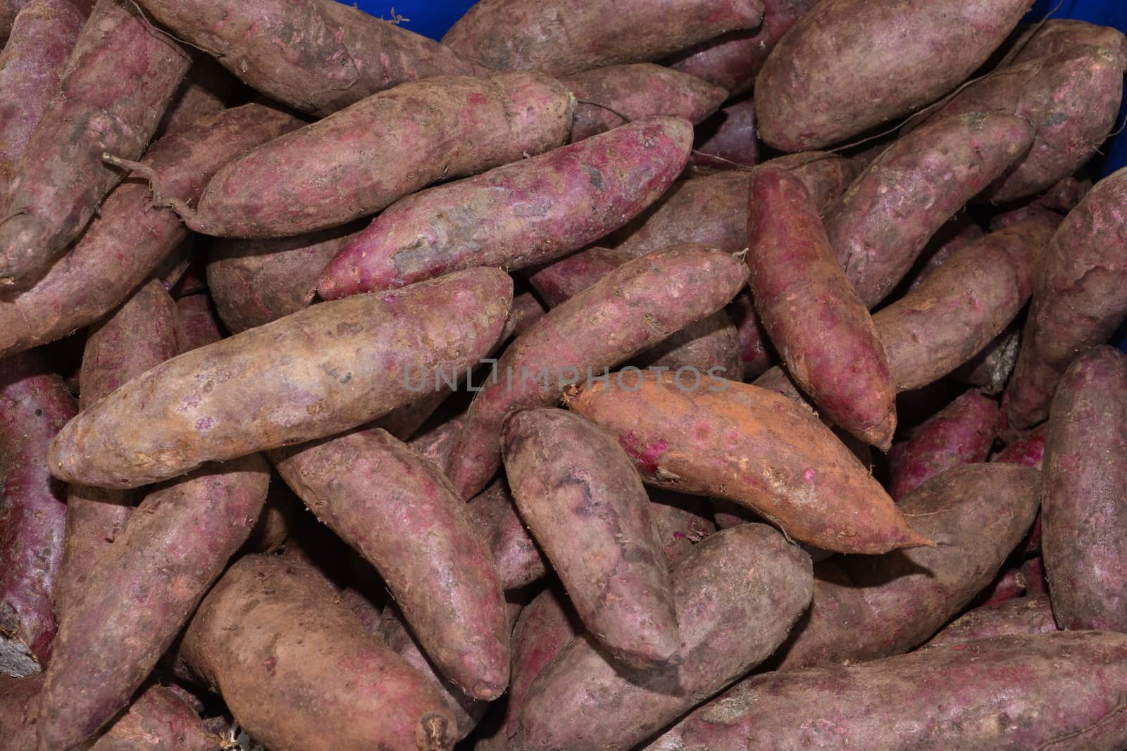 sweet potato or yam pile image which can be used as a background, note select focus with shallow depth of field