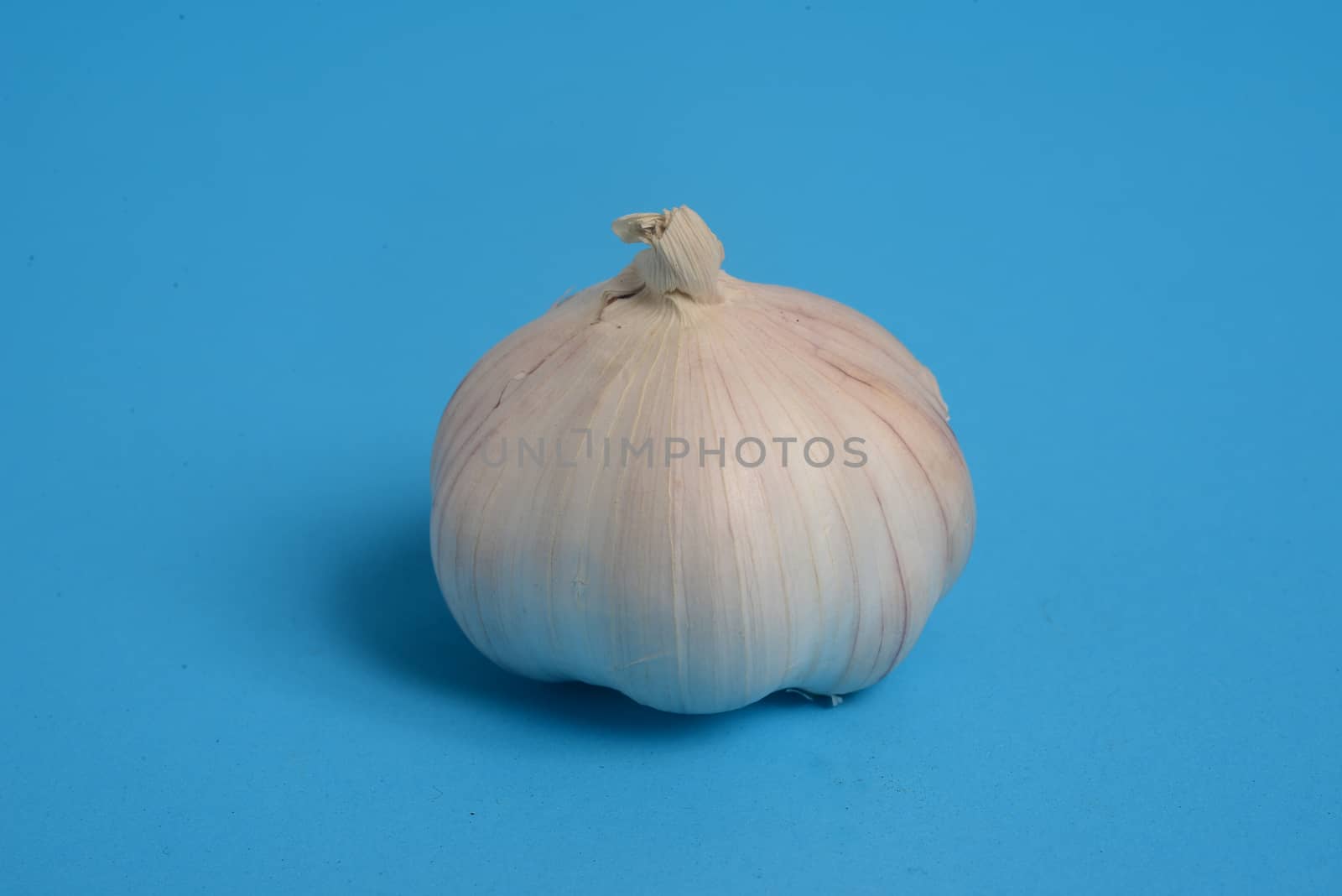 garlic. Raw garlic  on blue background with copy space for text by ideation90