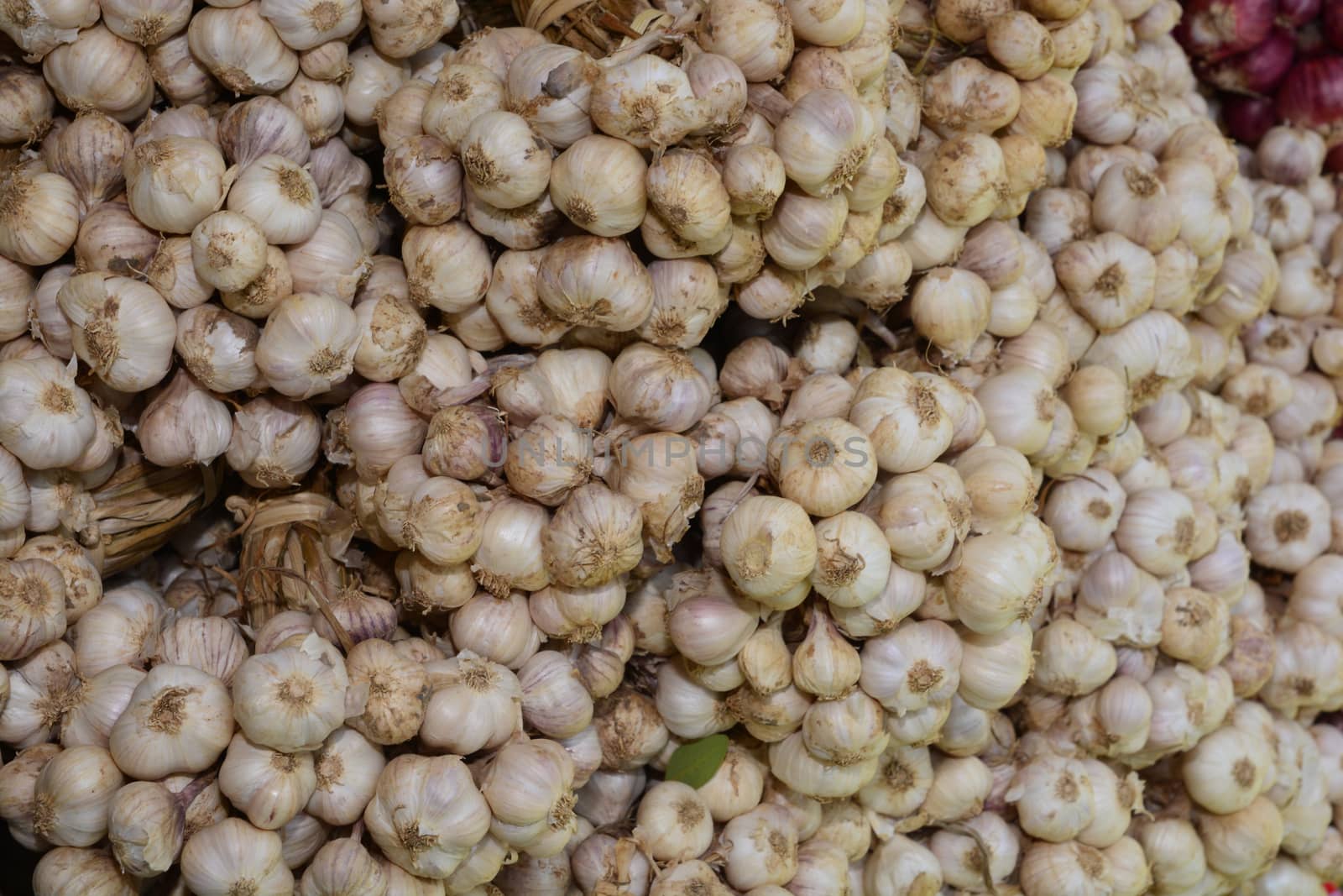 White dry garlic pile texture, Pile of white garlic heads by ideation90