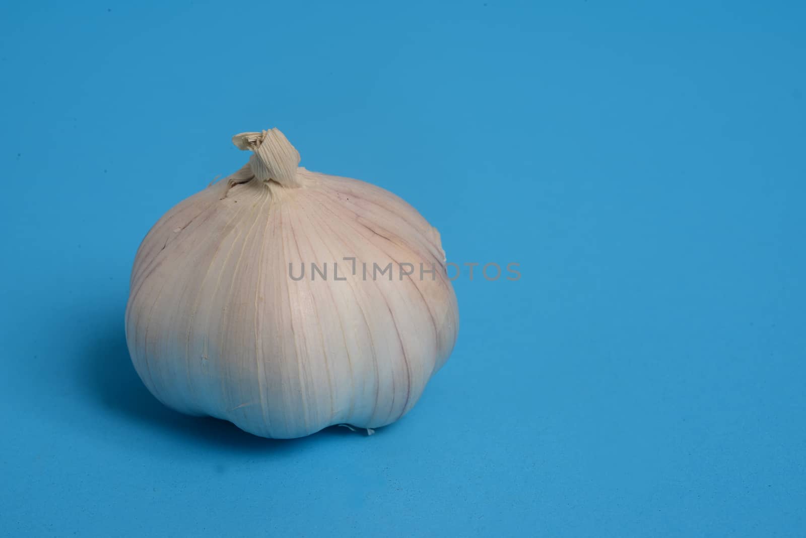 garlic. Raw garlic  on blue background with copy space for text