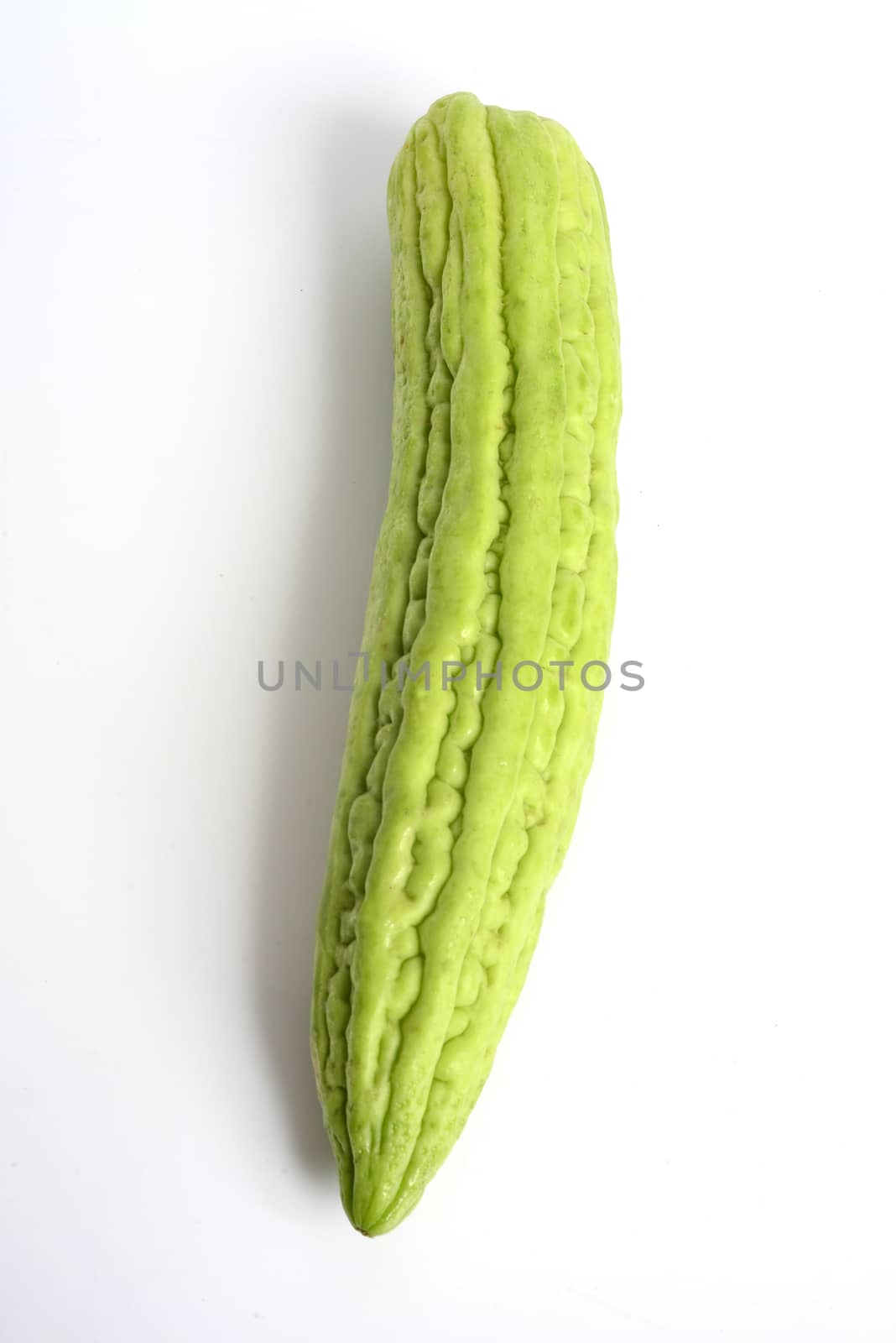 Bitter melon on  white background.