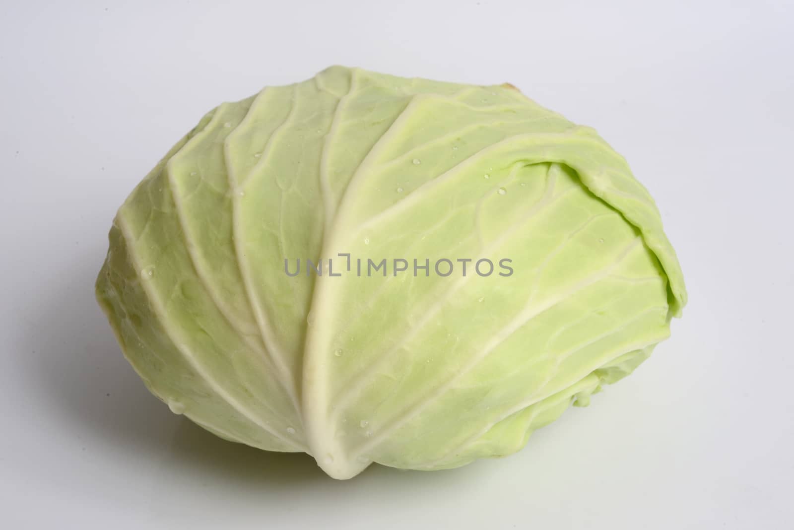 Cabbage on  white background. by ideation90