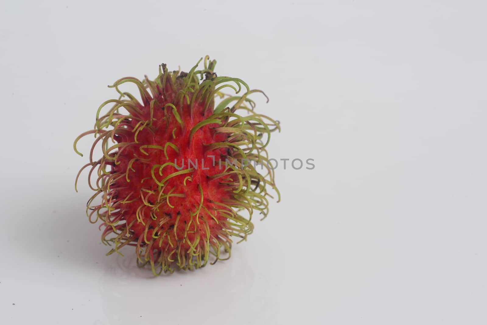 rambutan on white background with copy space for text by ideation90