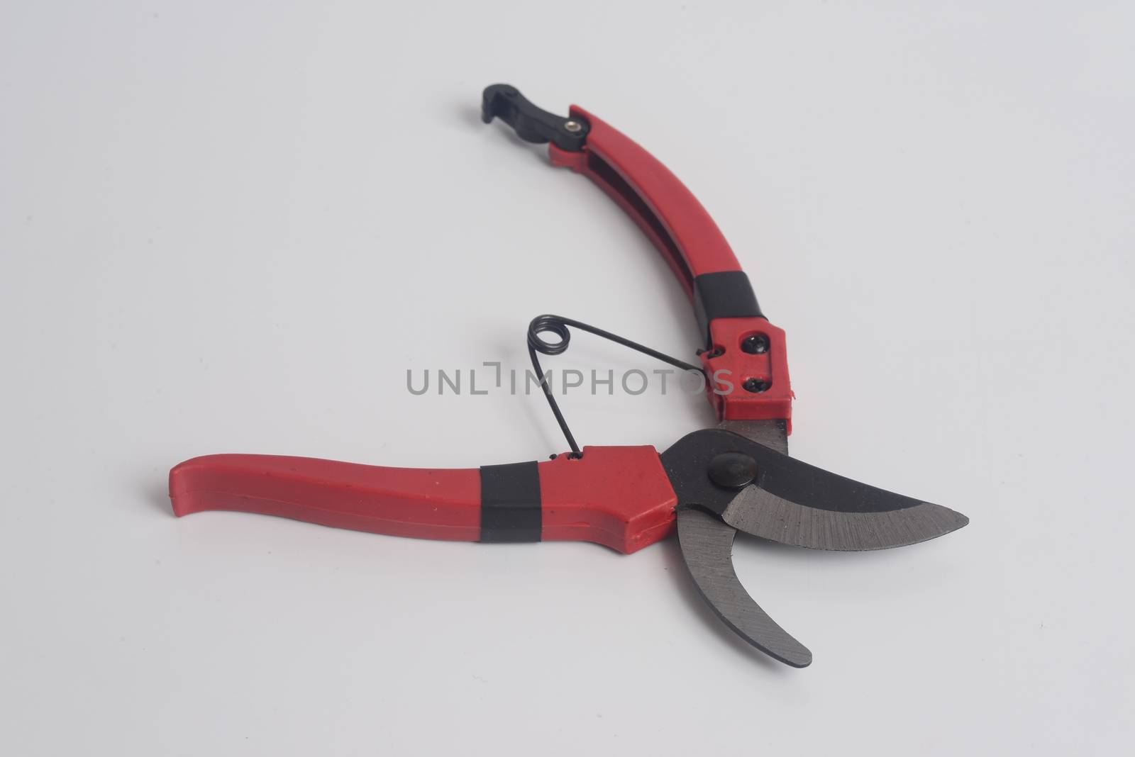 Red Gardening  Branch scissors on white background