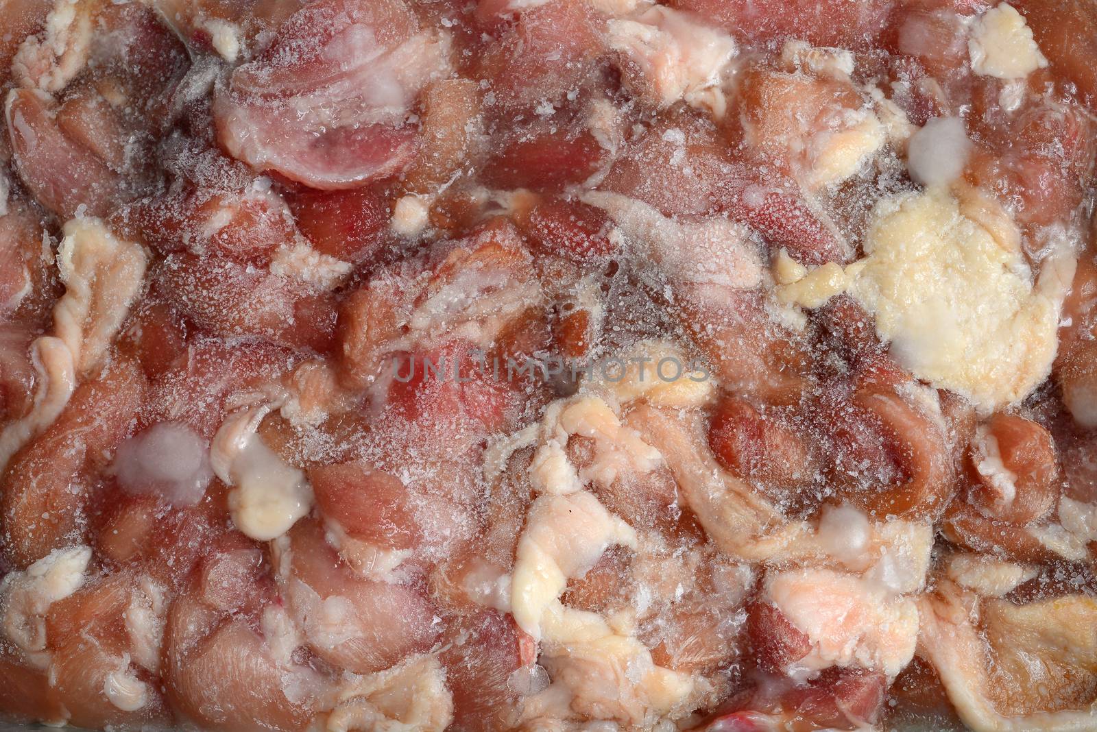 Raw  Frozen chicken meat by ideation90