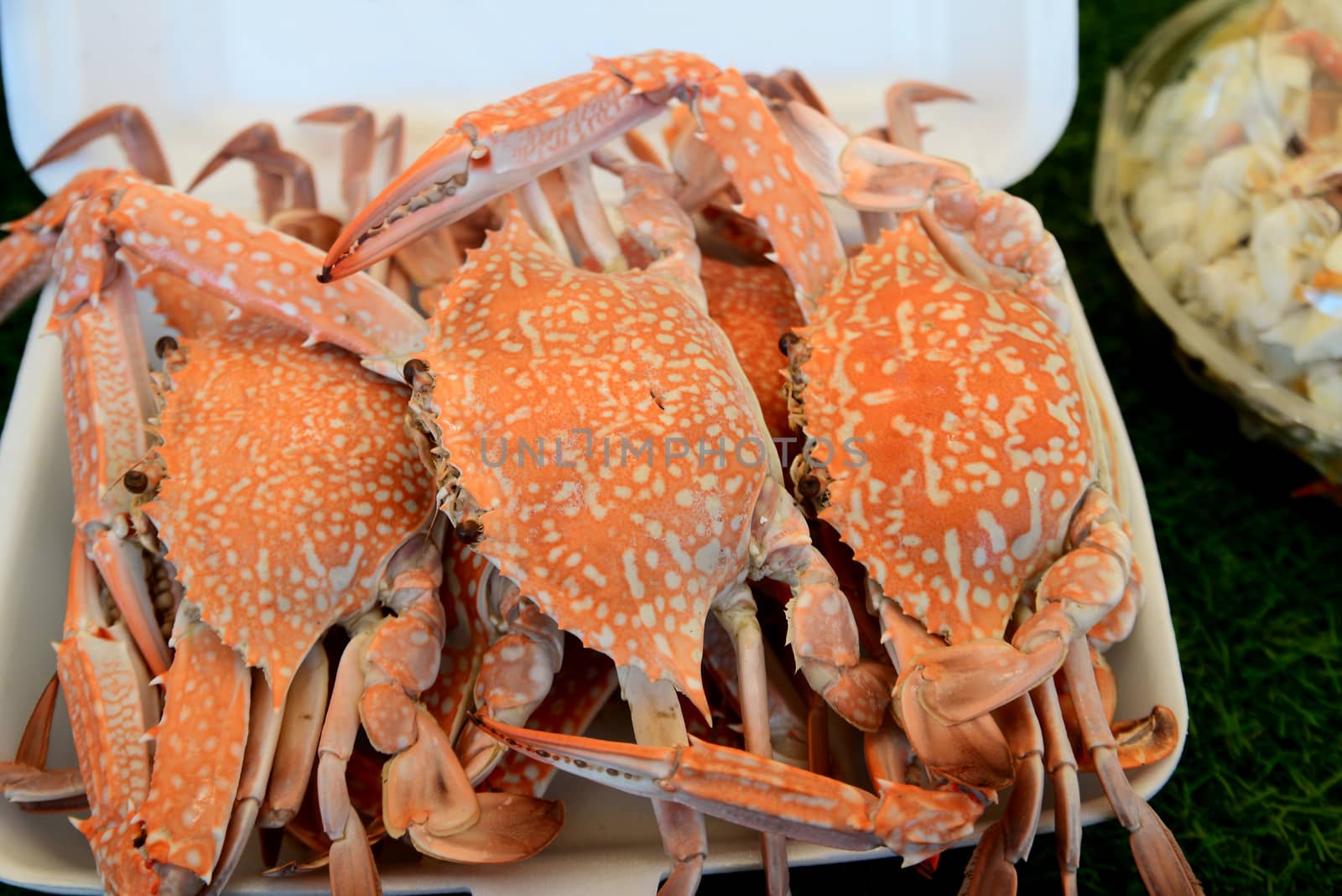 Steamed Blue Crabs in foam box for sell