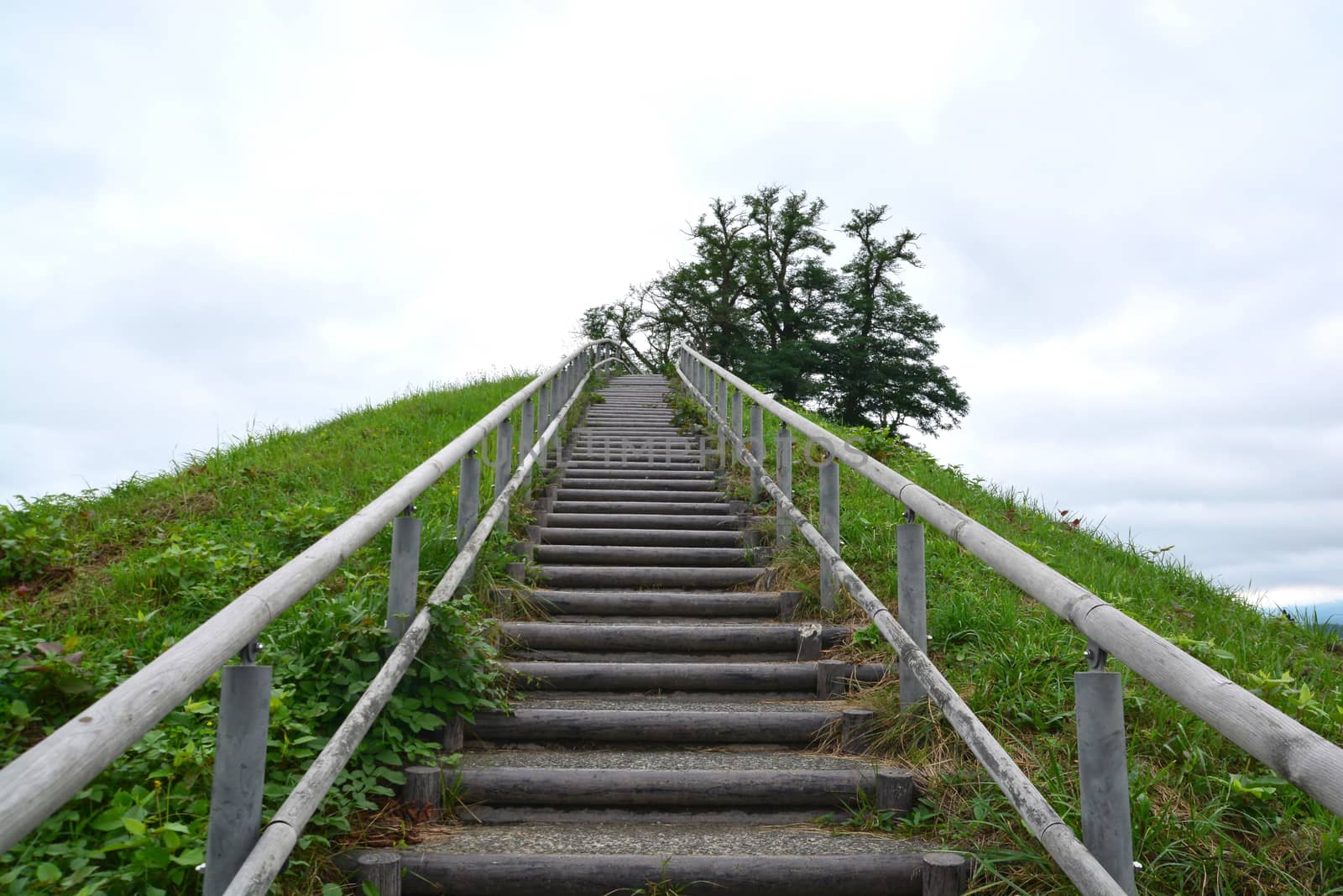 Stairway up the green hill
