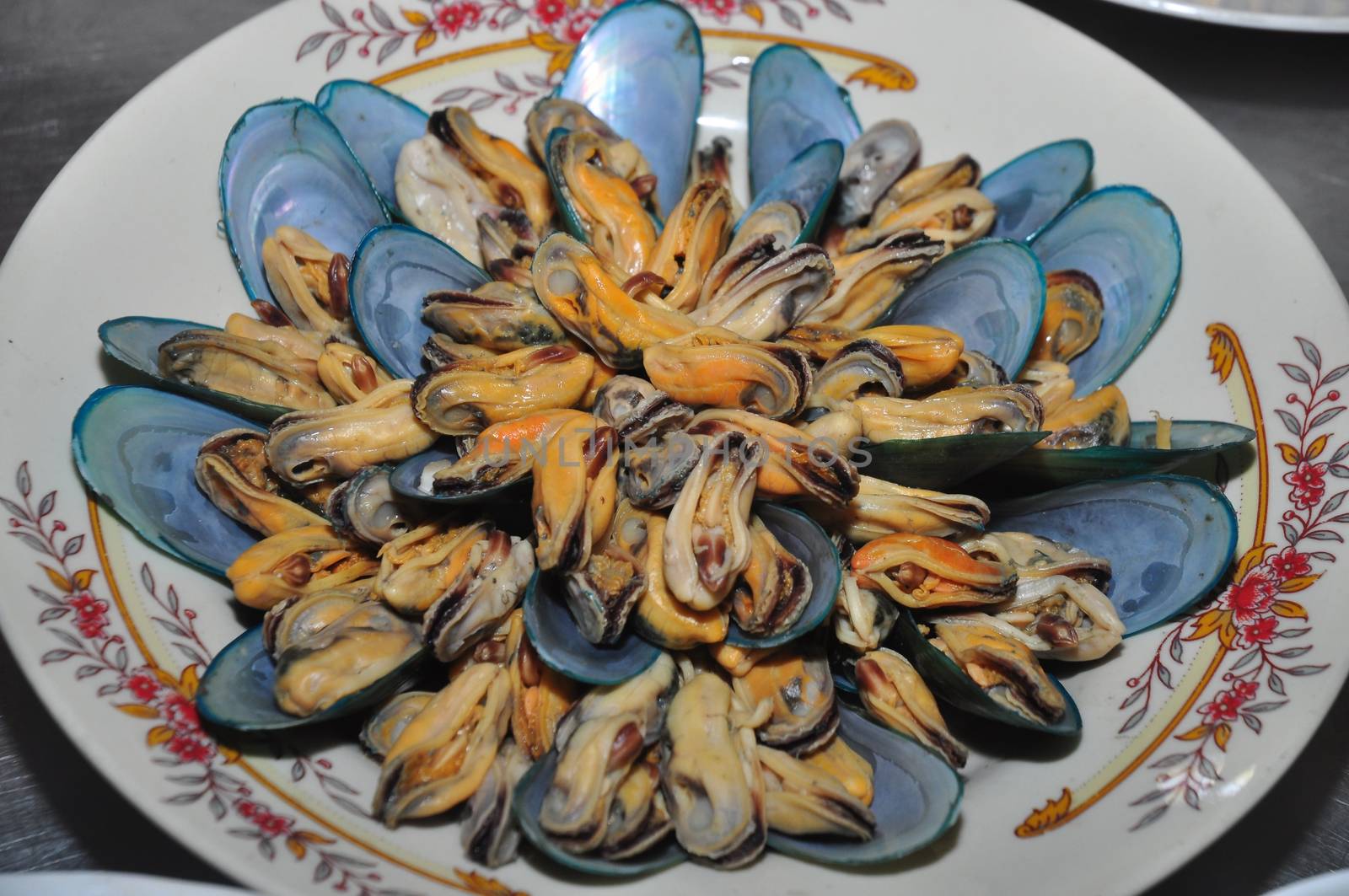Close up of plate with cooked mussels