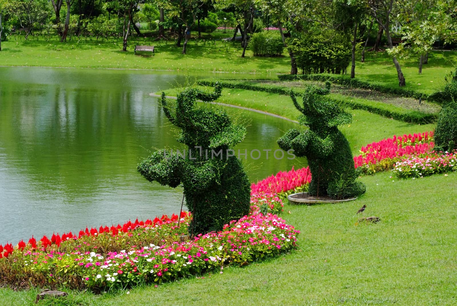 Topiary gardens. elephants created from bushes at green animals. landscape design by ideation90