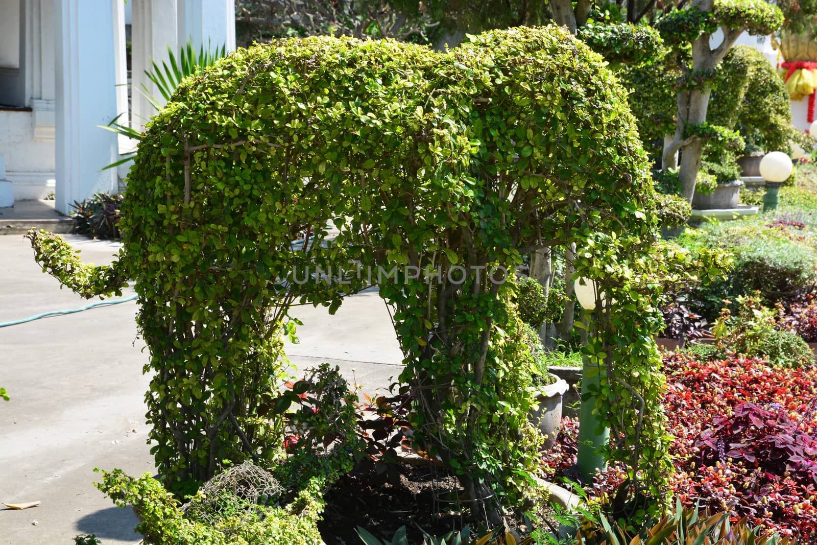 Topiary gardens. elephants created from bushes at green animals. landscape design by ideation90
