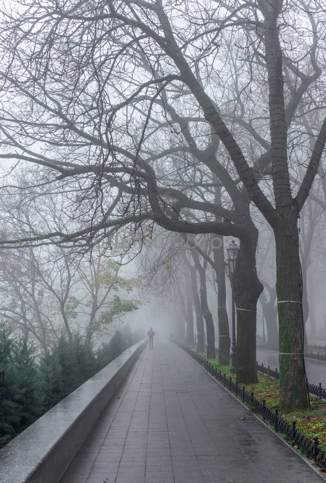 Odessa, Ukraine 11.28.2019.   Primorsky Boulevard in Odessa, Ukraine, on a foggy autumn day