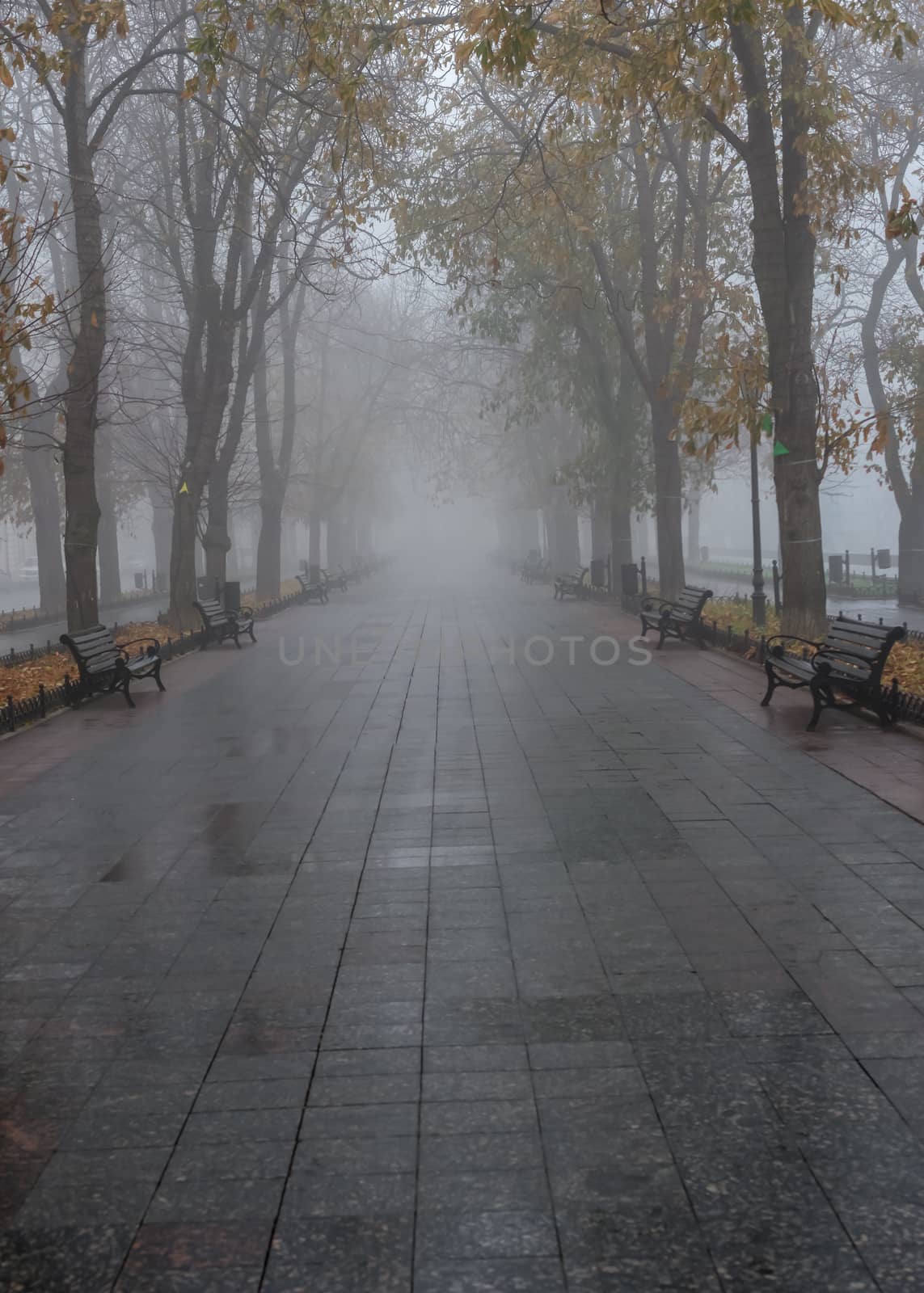 Odessa, Ukraine 11.28.2019.   Primorsky Boulevard in Odessa, Ukraine, on a foggy autumn day