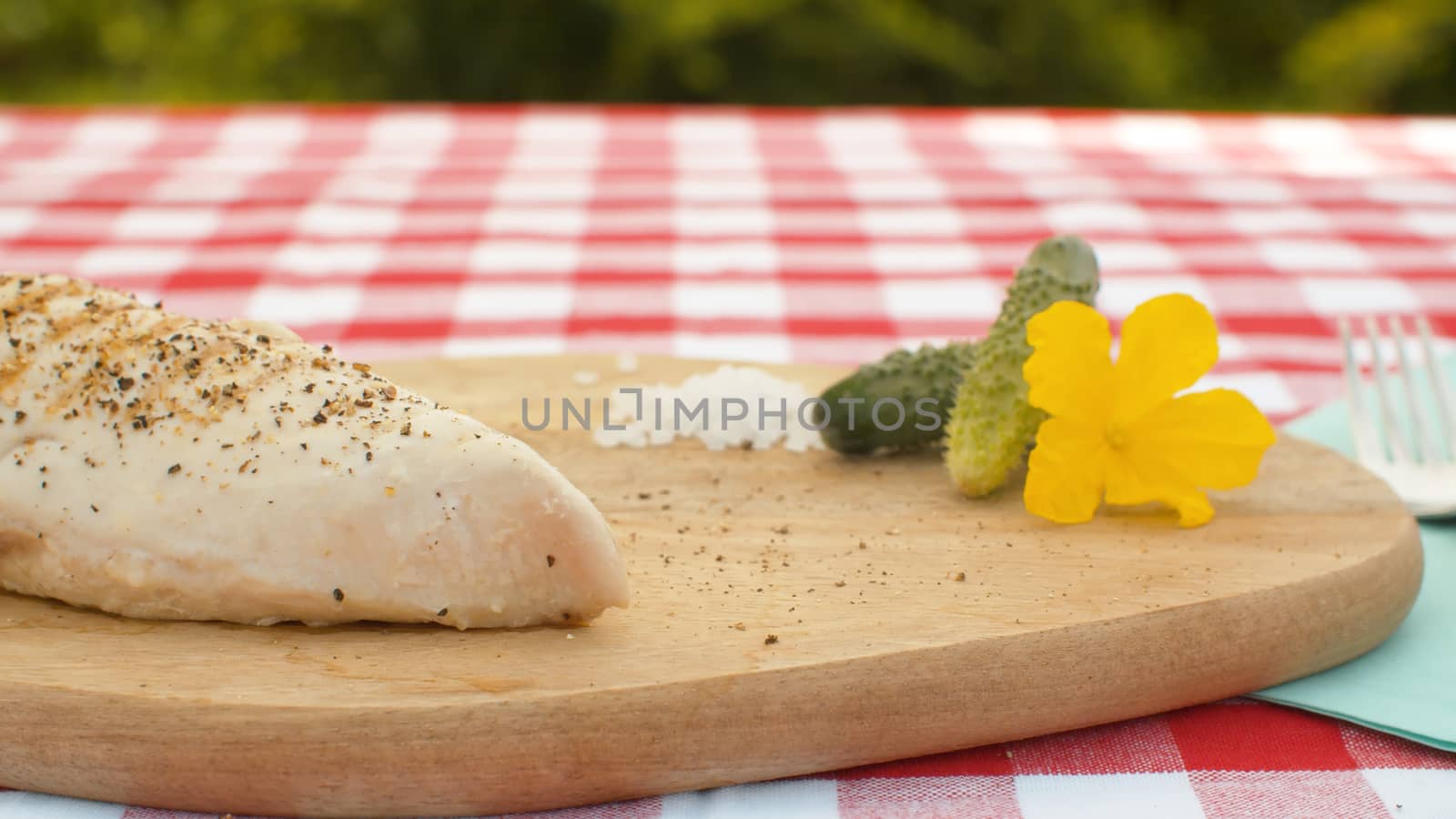 Close up piece of roasted meat, salt and cucumbers on the table outdoors on natural background
