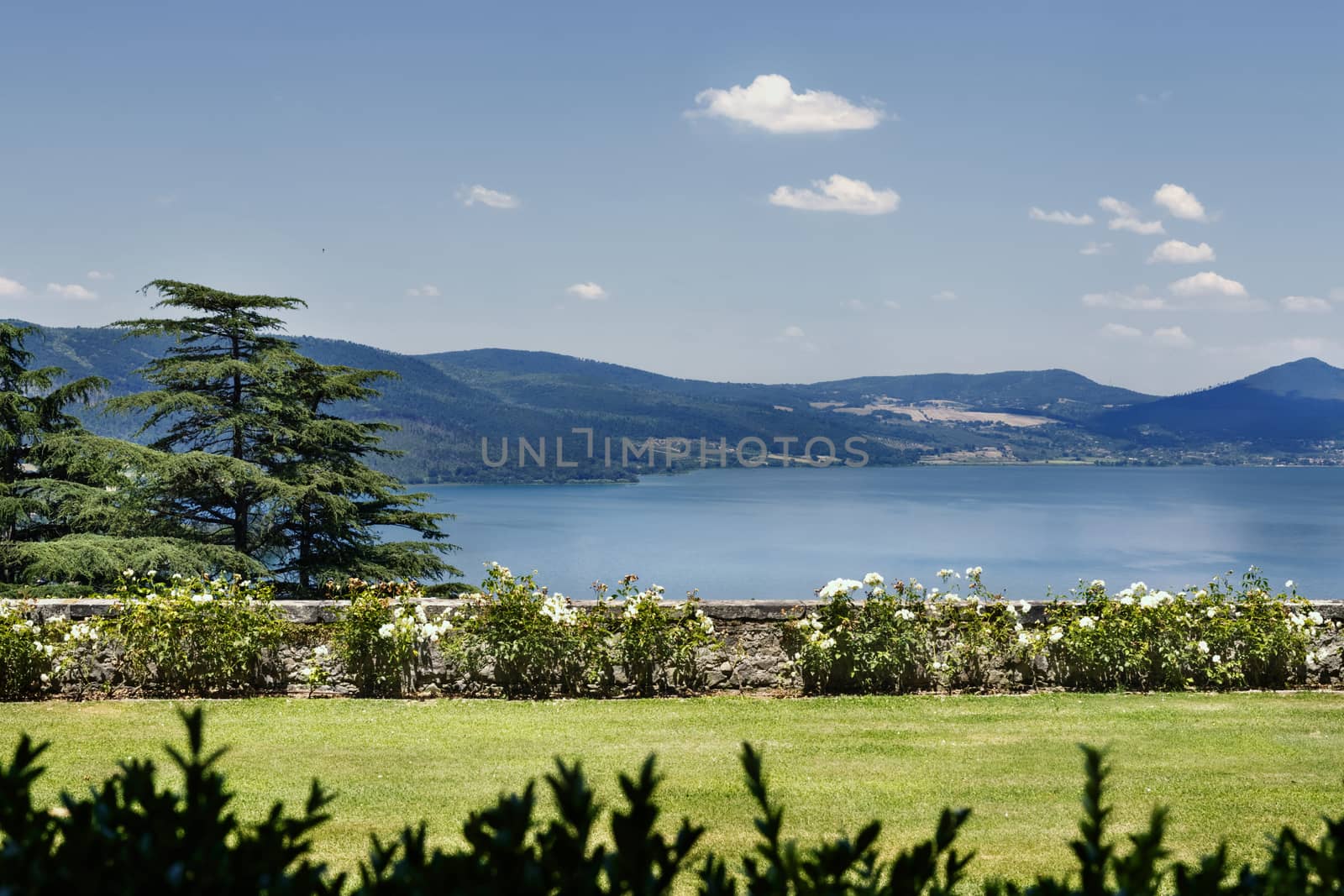 Glimpse of Lake Bracciano in a bright sunny day , in the foreground a beautiful garden with flowers ,in the background mountains