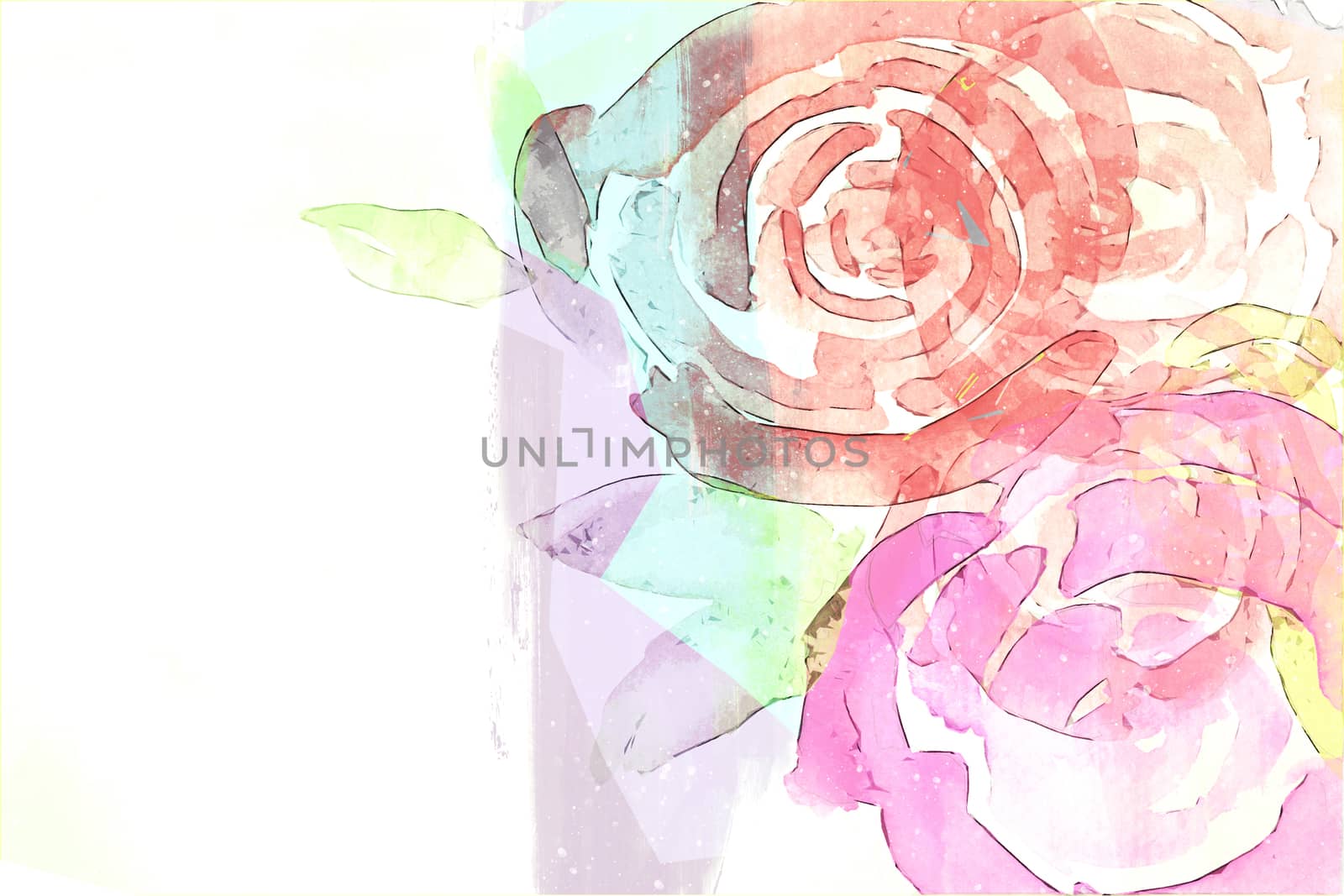 Watercolor painting of pink and red roses with green leaves on white background