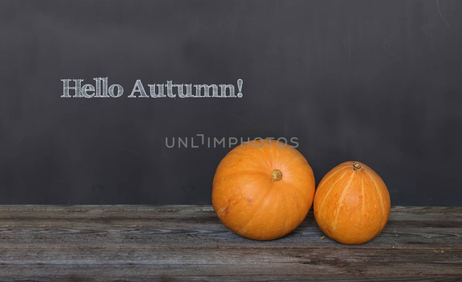 Hello Autumn greeting text with colorful pumpkins over dark wooden and Blackboard background