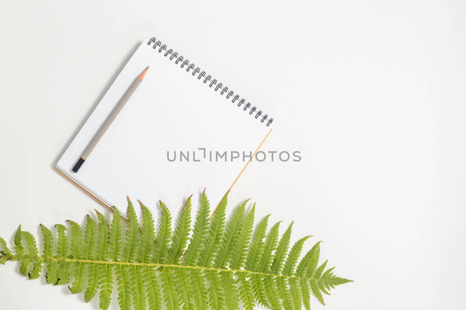 White paper blank and fern leaf on gray background. Flat lay, top view, copy space.