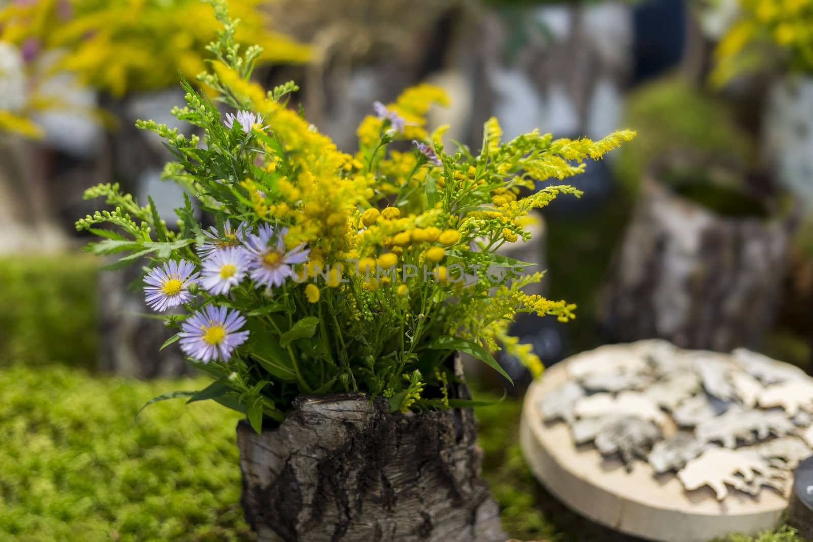 Bouquet of wildflowers in a bark vase, eco-friendly interior decoration by galinasharapova