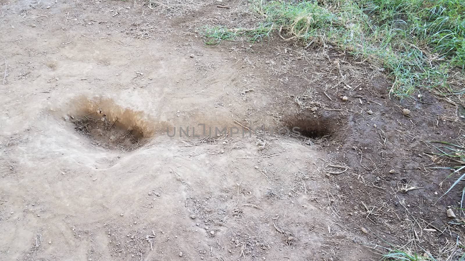 mud or dirt or soil with holes in the ground