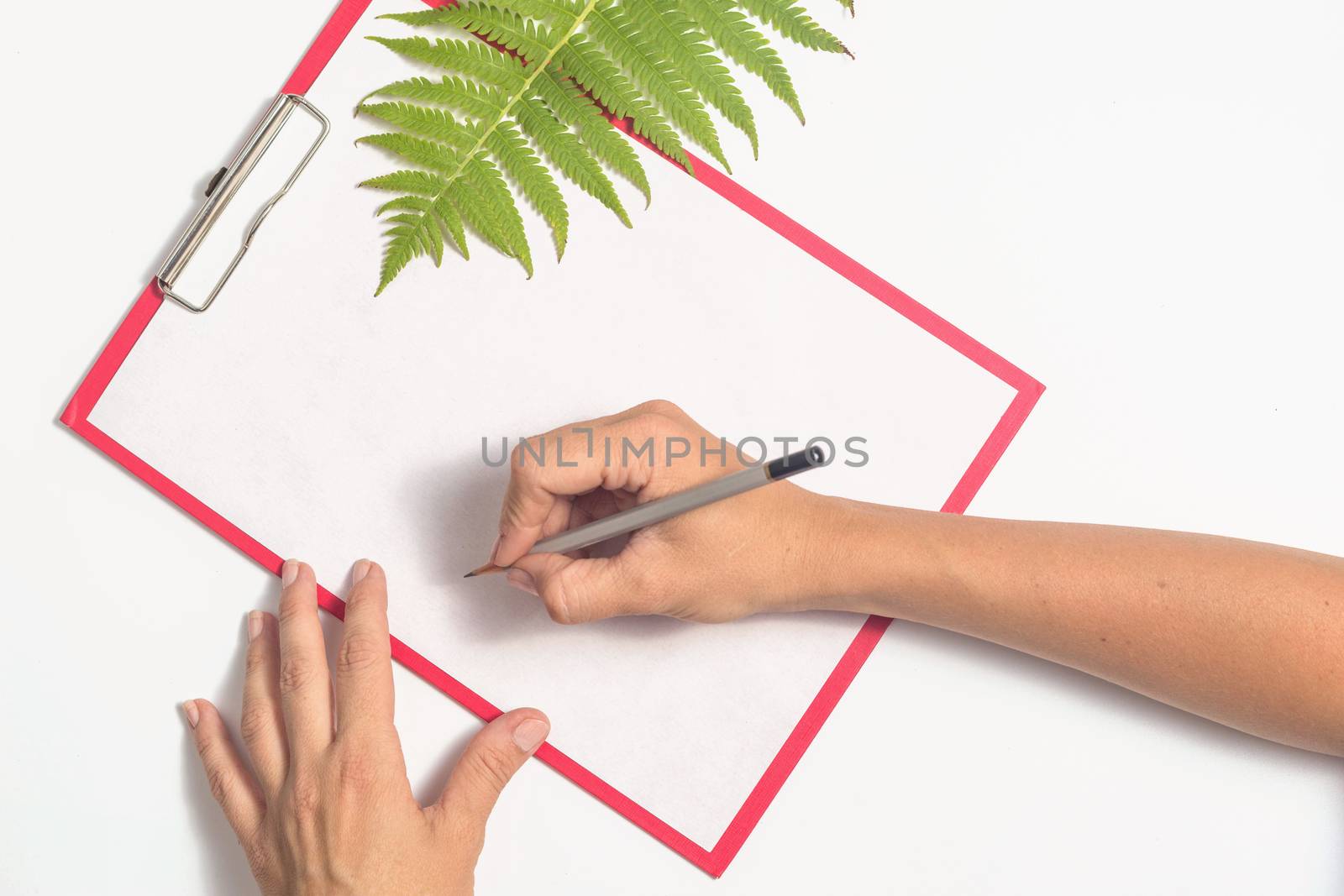 Female hands are writing on a white sheet of paper by galinasharapova