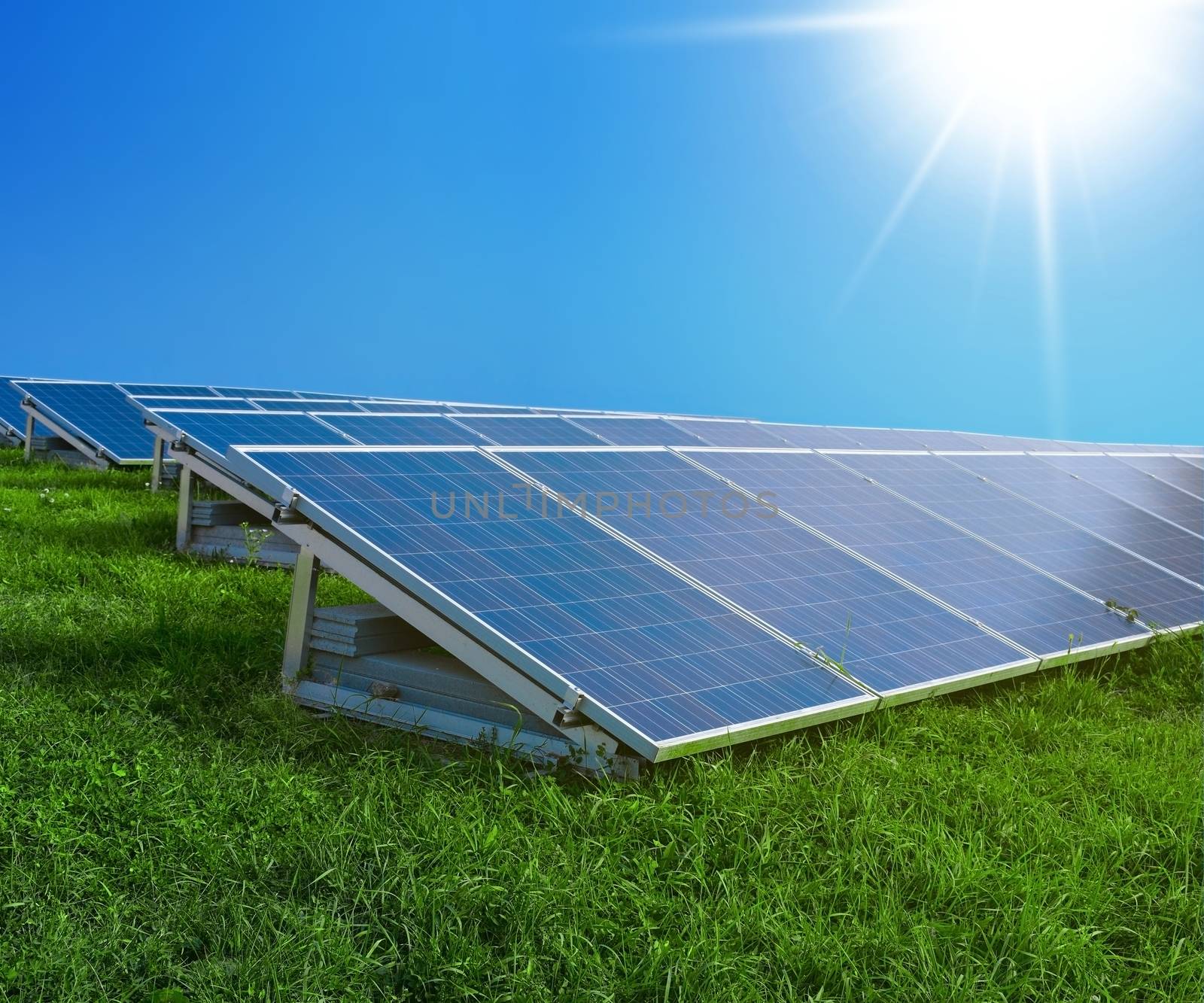 Solar panels on green grass with sunshine. Blue sky in the background.