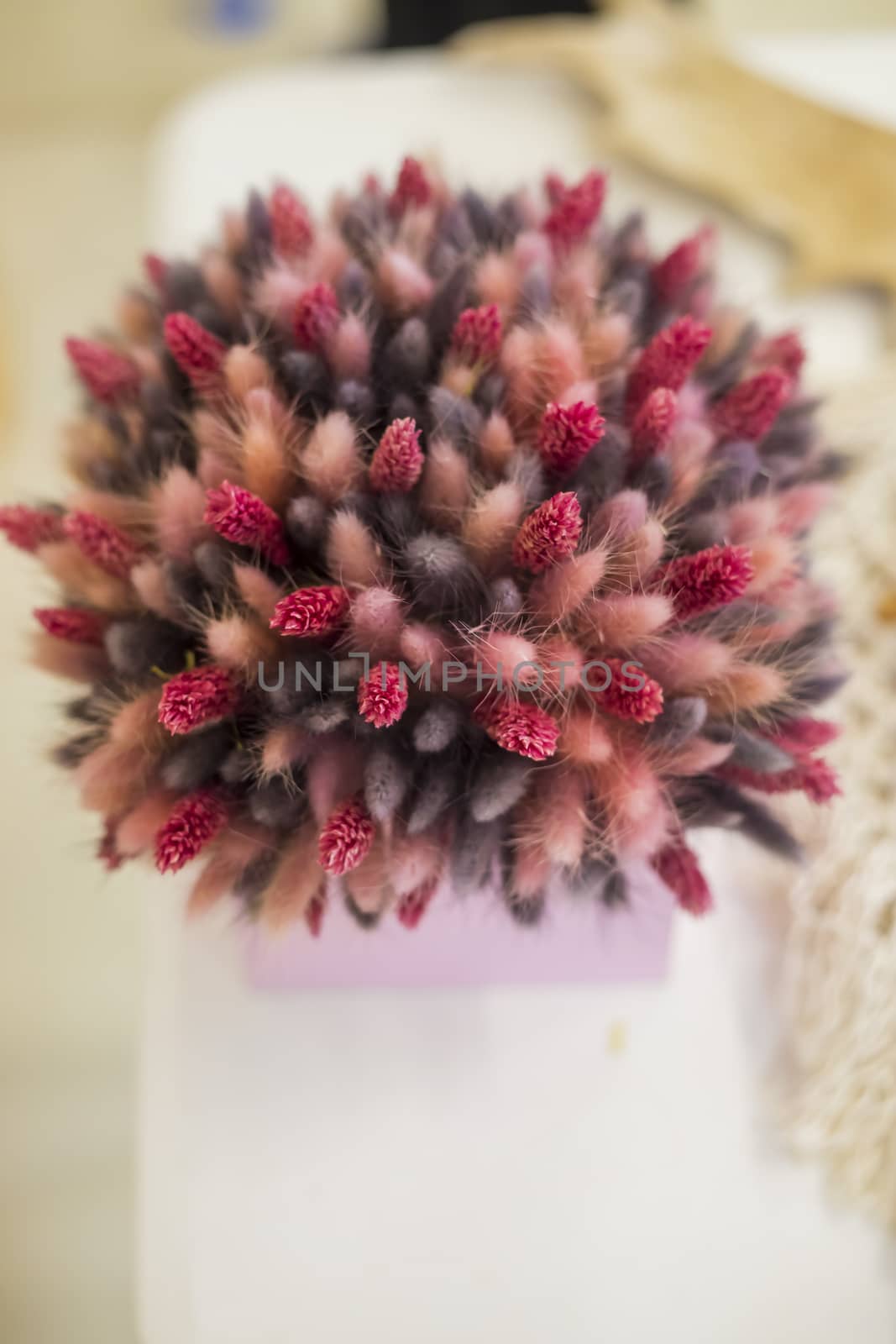 Panicles of dried cereal flowers painted in pink and burgundy colors by galinasharapova