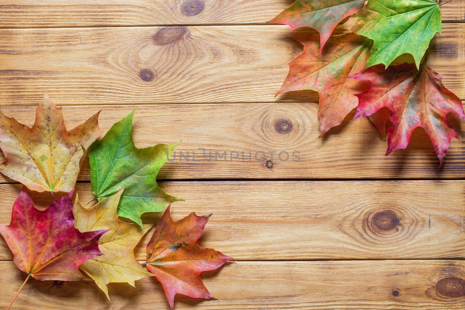 Autumn flat lay with colorful fallen leaves on wooden background. by galinasharapova