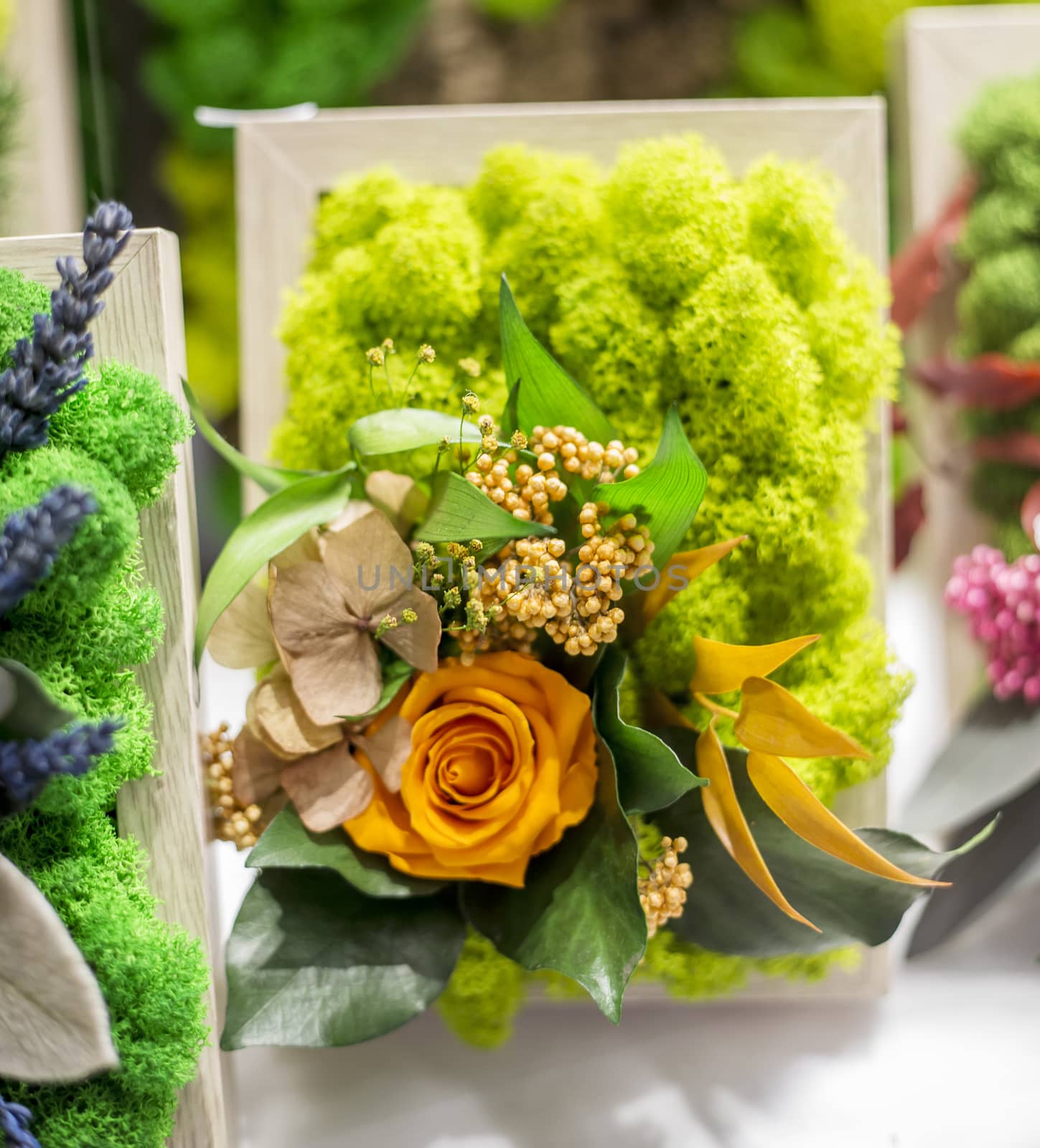 Decorative floristic arrangement of artificial flowers and stabilized moss, soft focus, selective focus.
