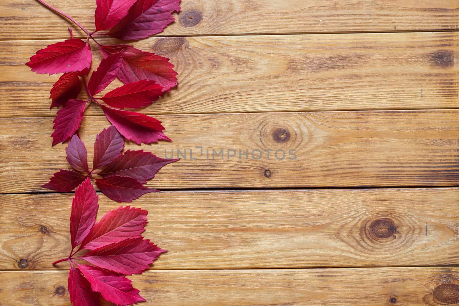 Autumn flat lay with colorful fallen leaves on wooden background