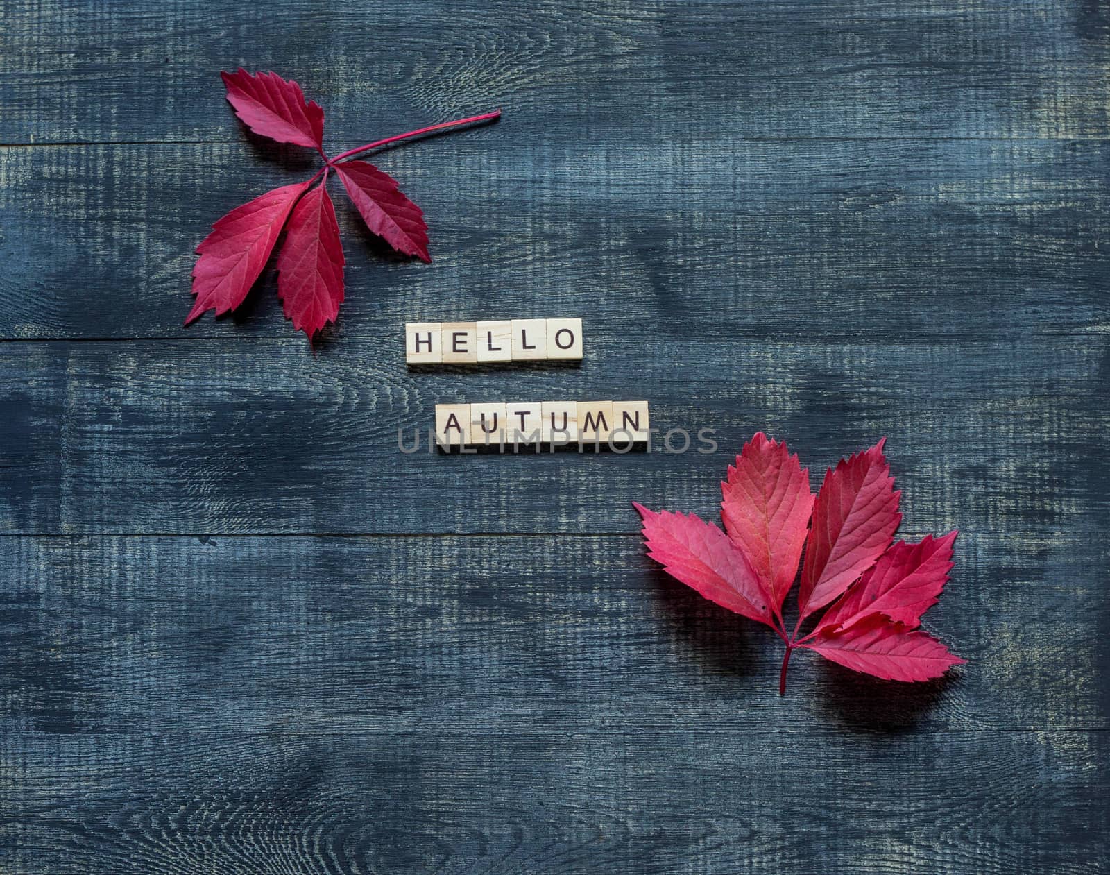 Text hello autumn framed by autumn fallen leaves on a dark wooden background.