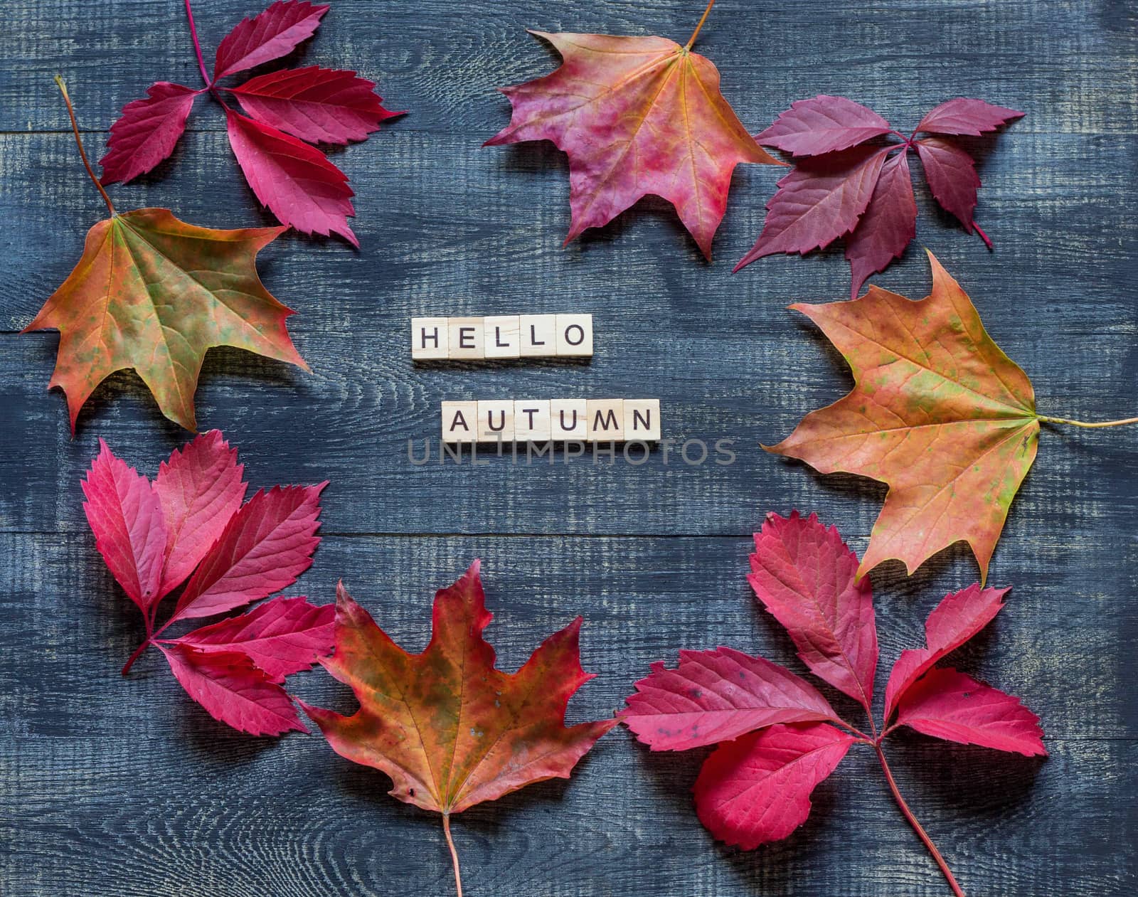 Autumn flat lay with multicolored fallen leaves and hello autumn lettering on wooden background