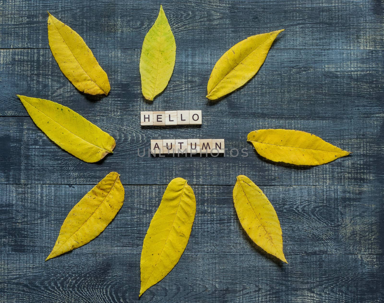 Autumn flat lay with multicolored fallen leaves and hello autumn lettering on wooden background