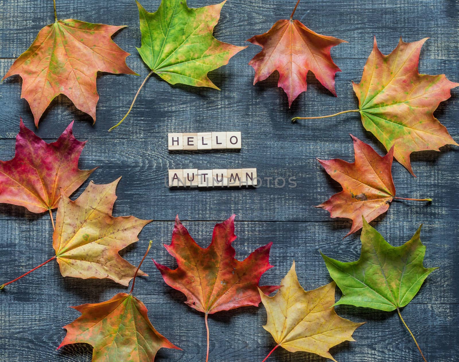 Autumn flat lay with multicolored fallen leaves and hello autumn lettering on wooden background