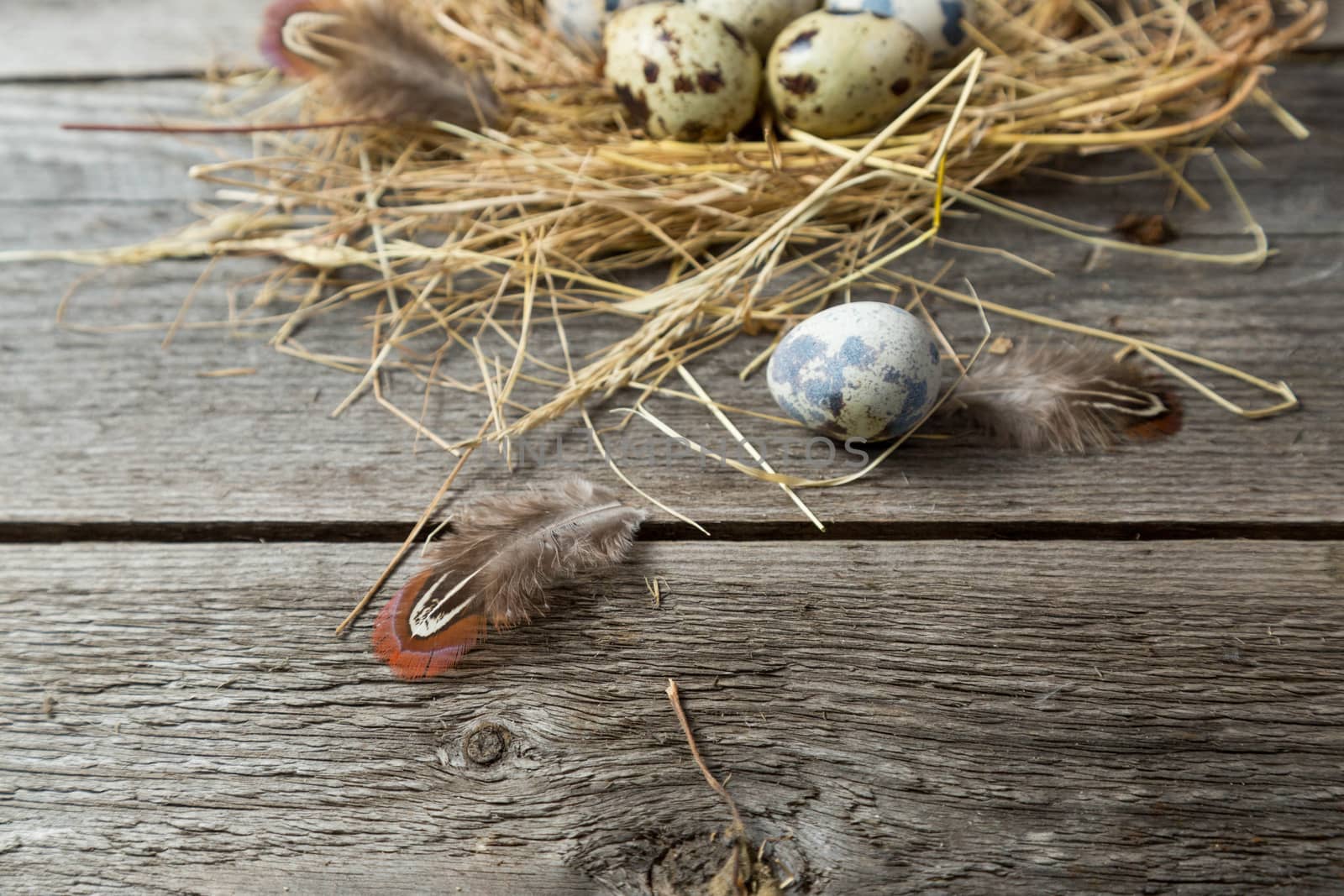 .Quail eggs in a nest made of straw on a wooden background by galinasharapova