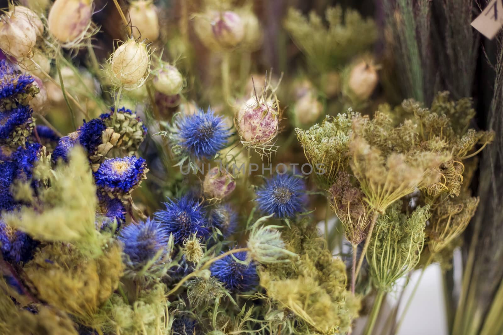 A bouquet of dried meadow plants and flowers for home decoration with a floral multicolored grass in a soft selective focus.