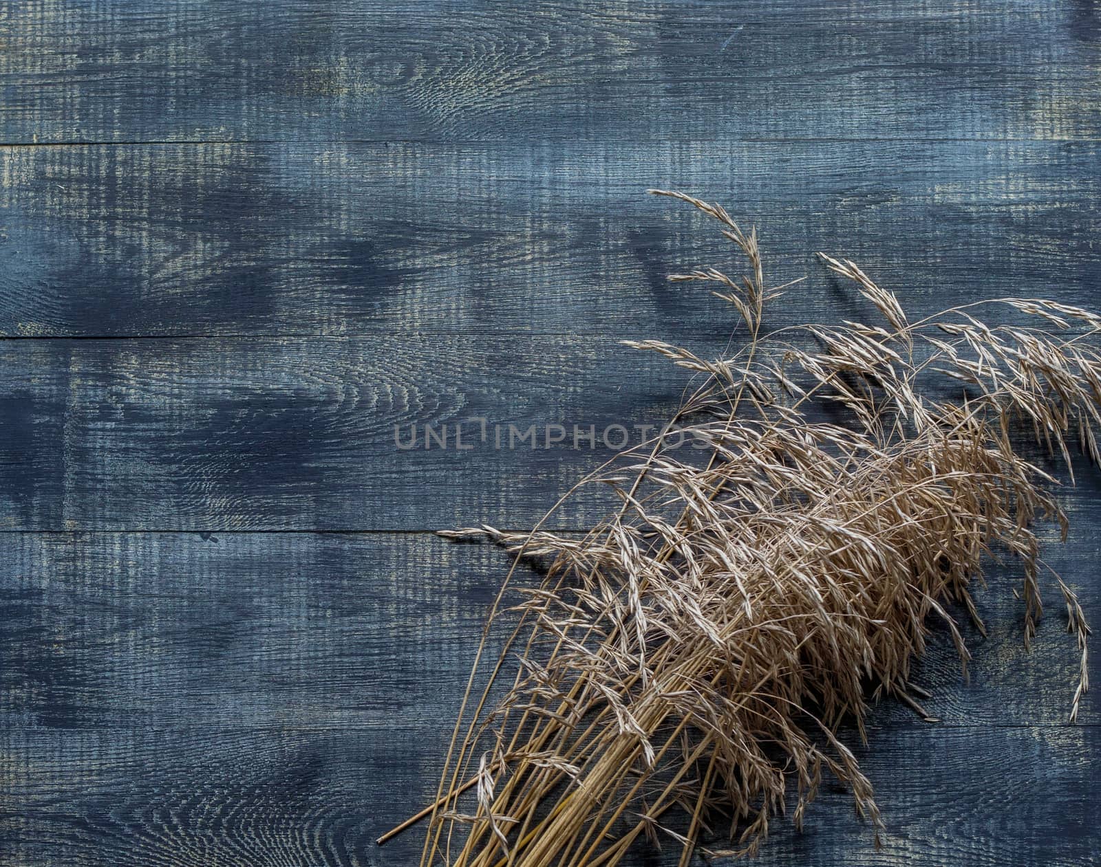 Autumn flat lay with dry ears of wheat on a dark wooden background by galinasharapova