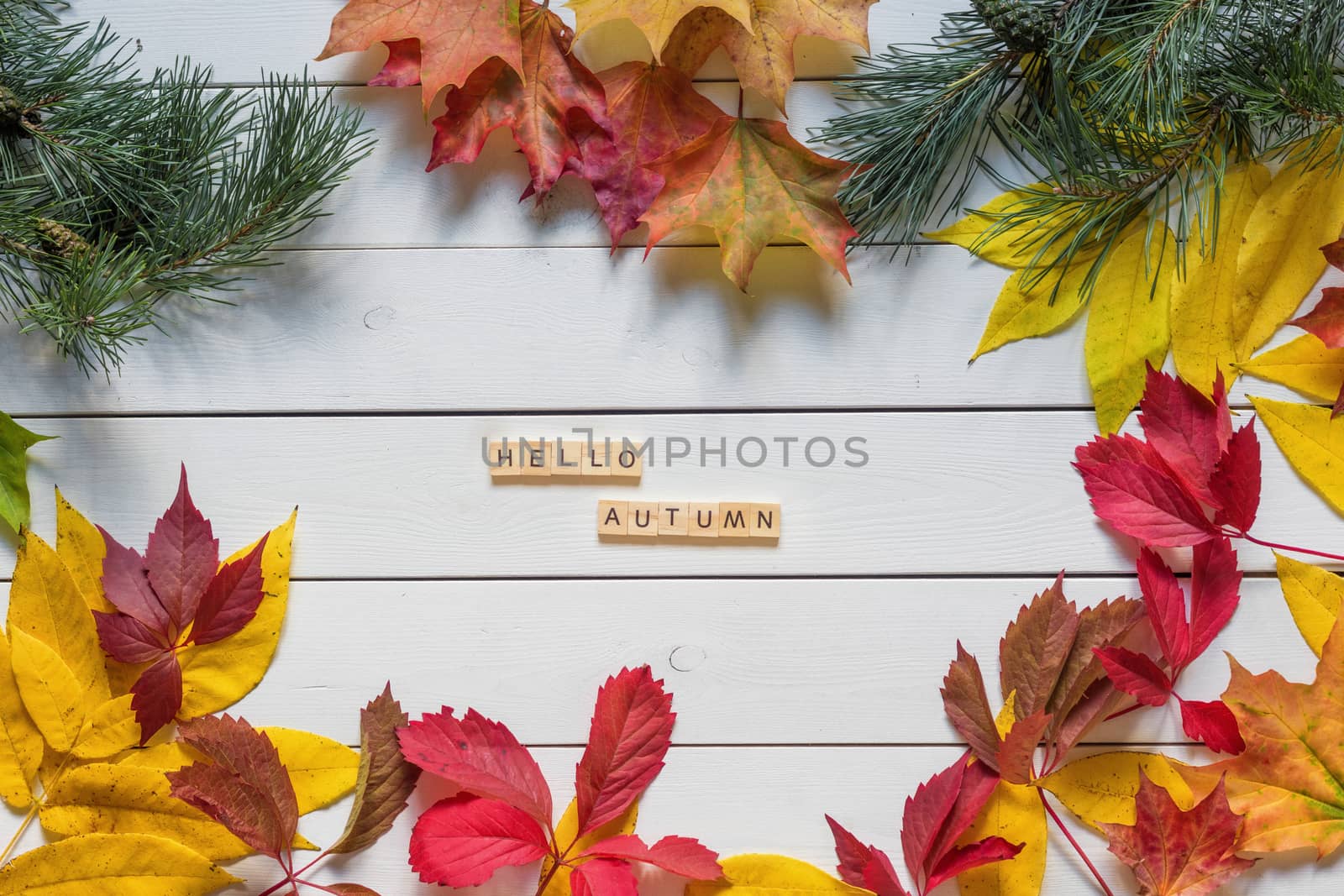 Frame made of autumn fallen leaves on wooden background by galinasharapova