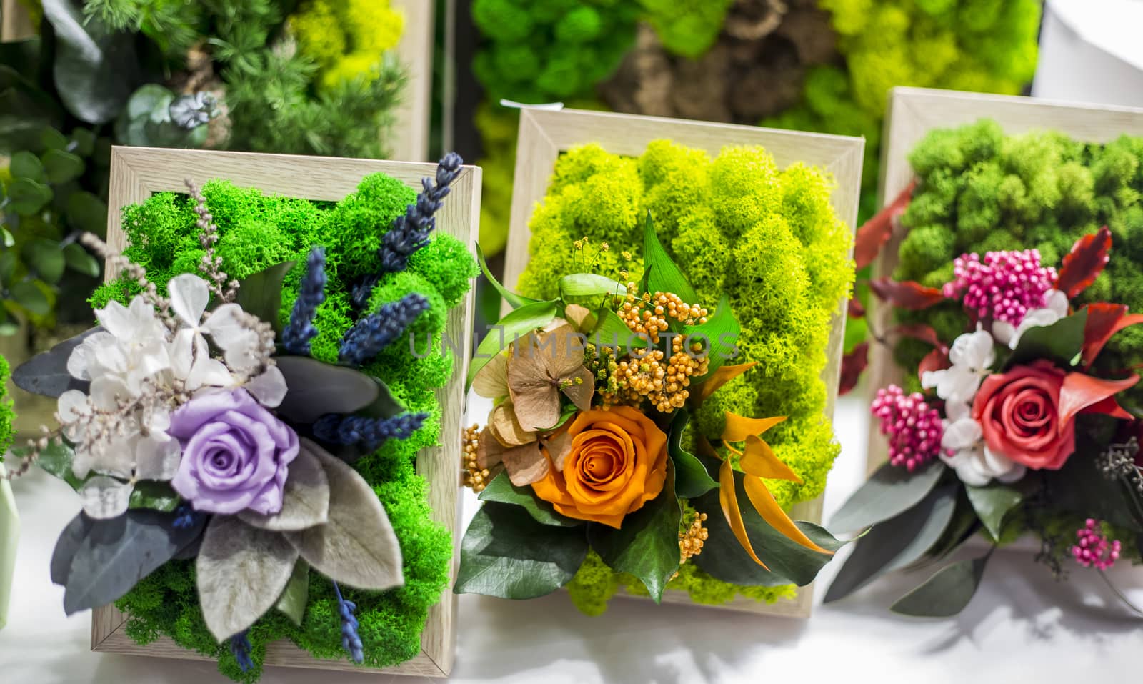 Decorative floristic arrangement of artificial flowers and stabilized moss.. by galinasharapova