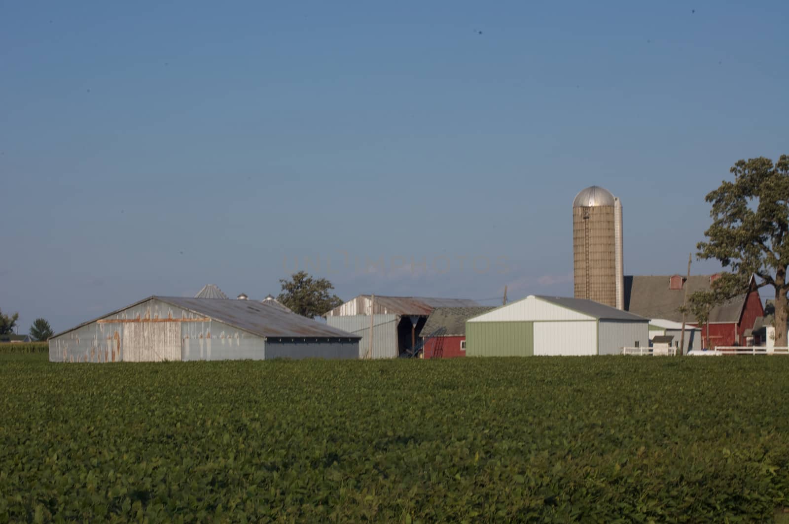 This is family farm in Southern Wisconsin at sunset.