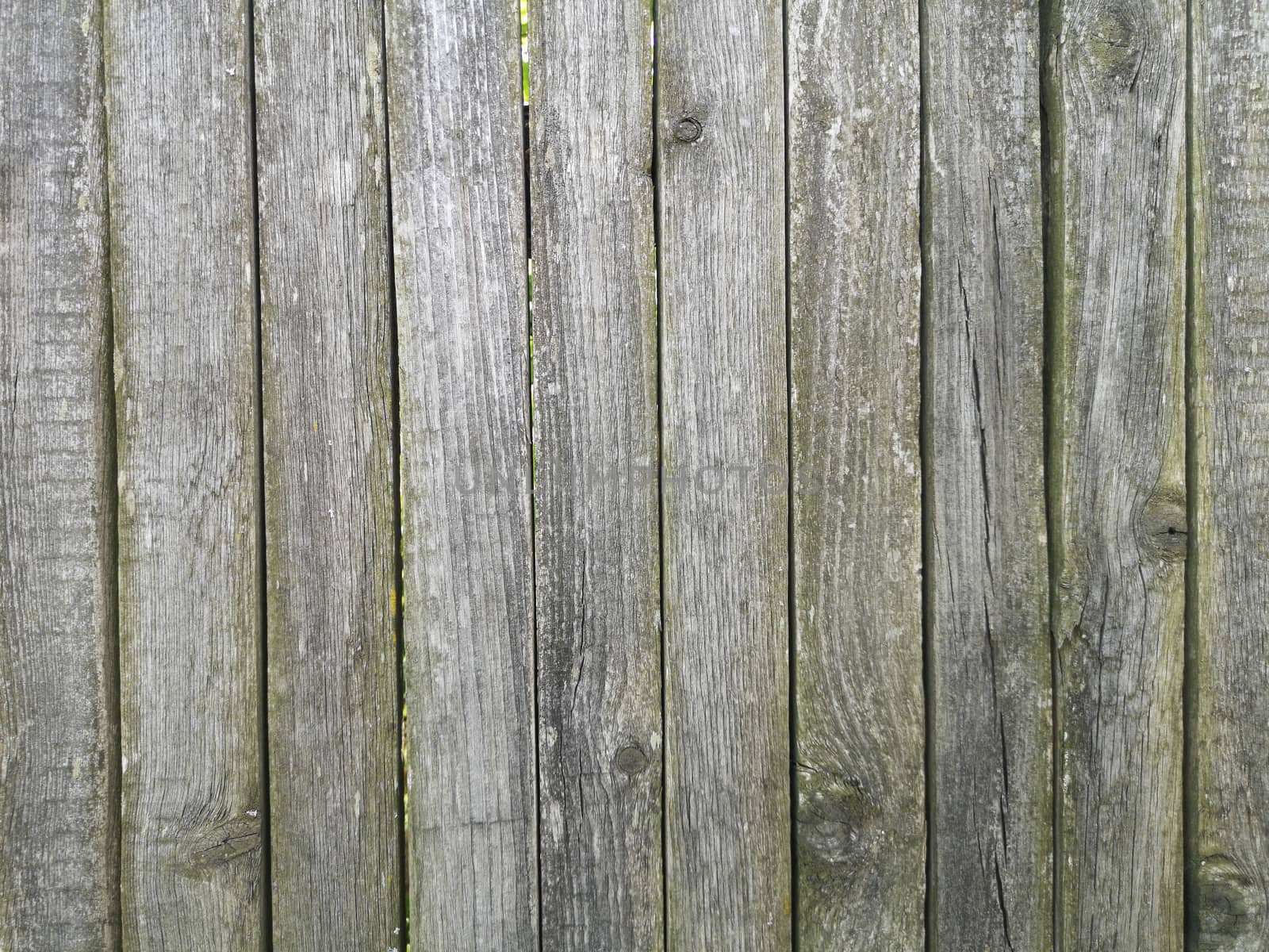Wooden Wall Background. Old green fence in a village by galinasharapova